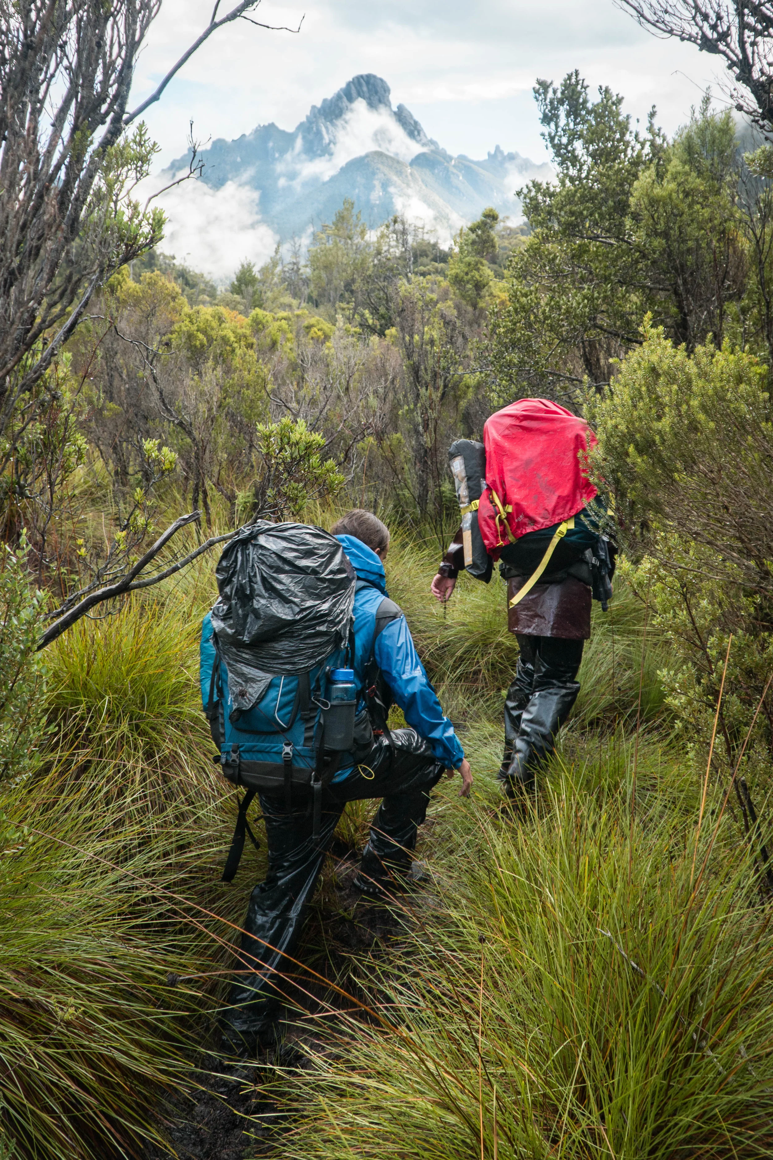 One Hike to Rule Them All