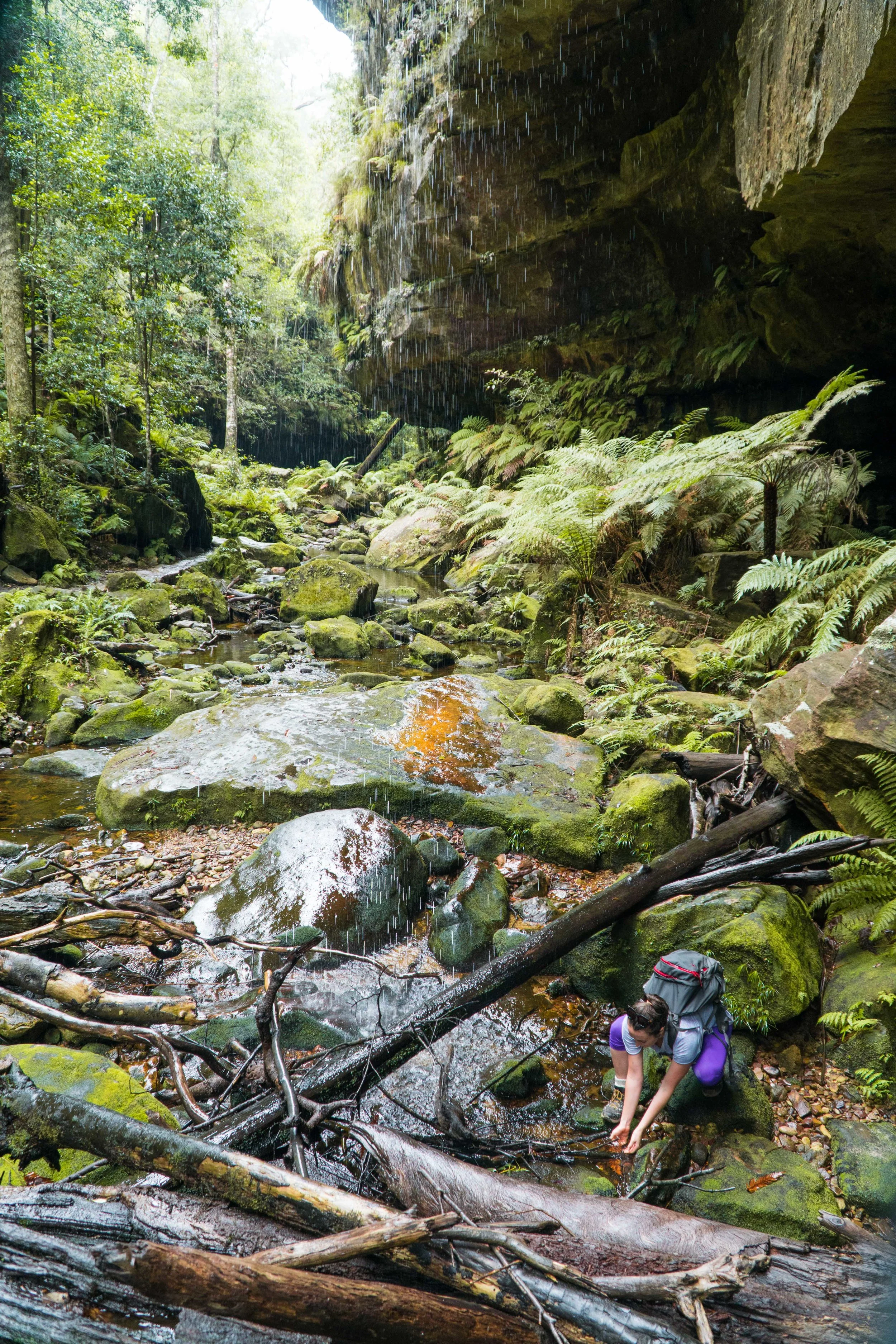 Rainy Escape