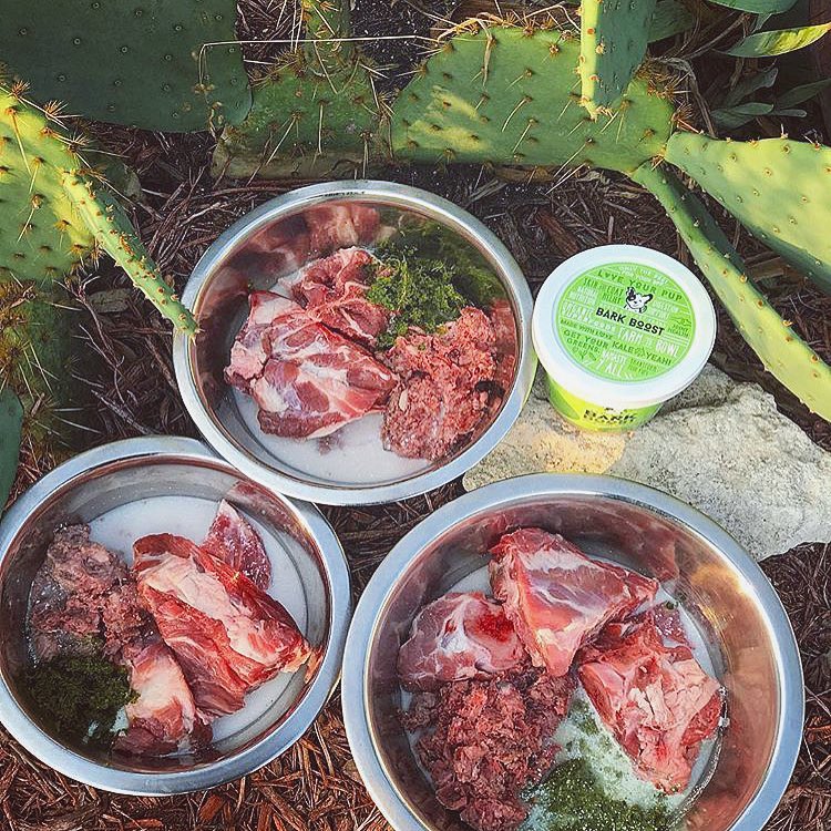 @runningwithrem @thebonesandco they love the veggie purée. Thank the natural food gods. We love your products 💚