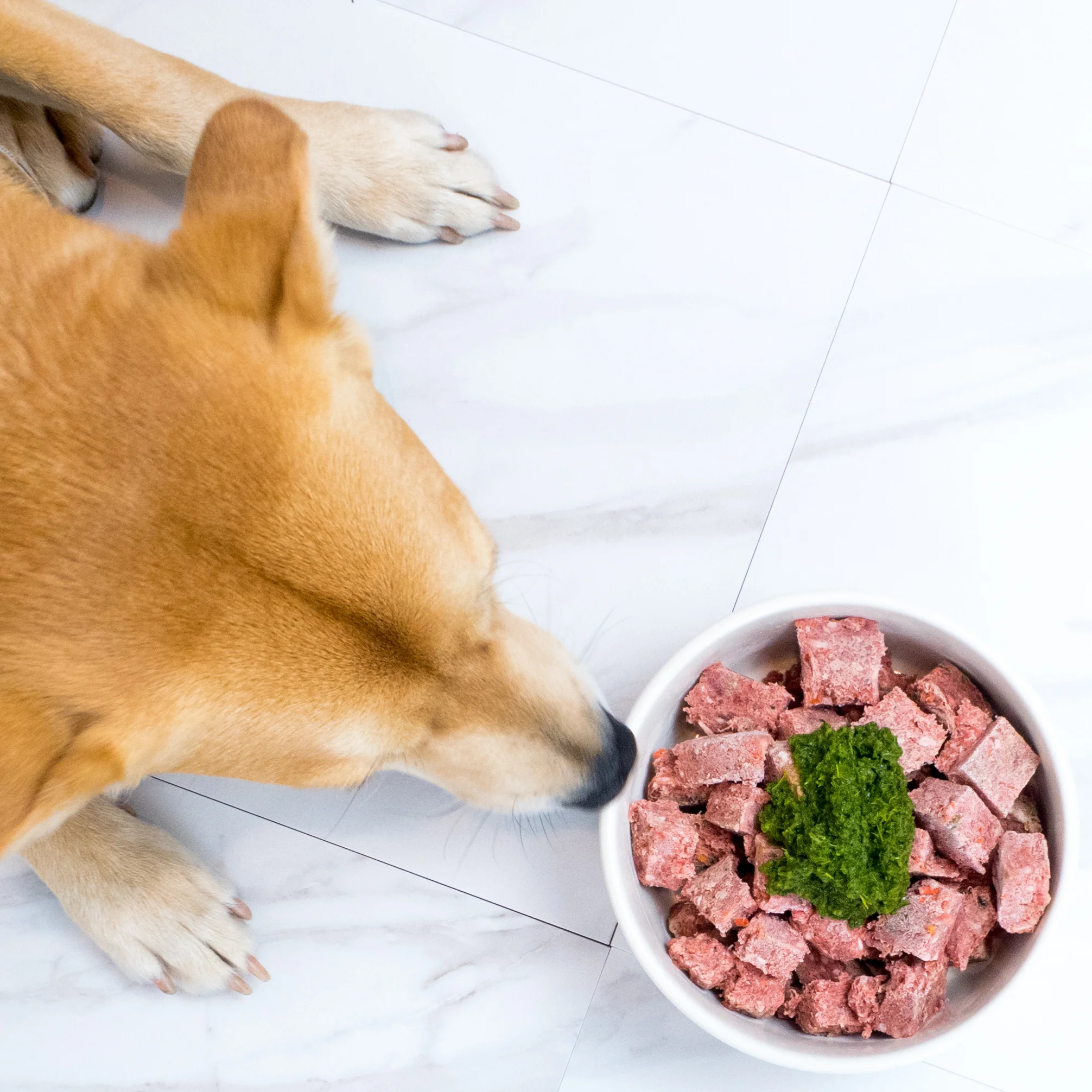 For the Love of Dog, Feed Raw