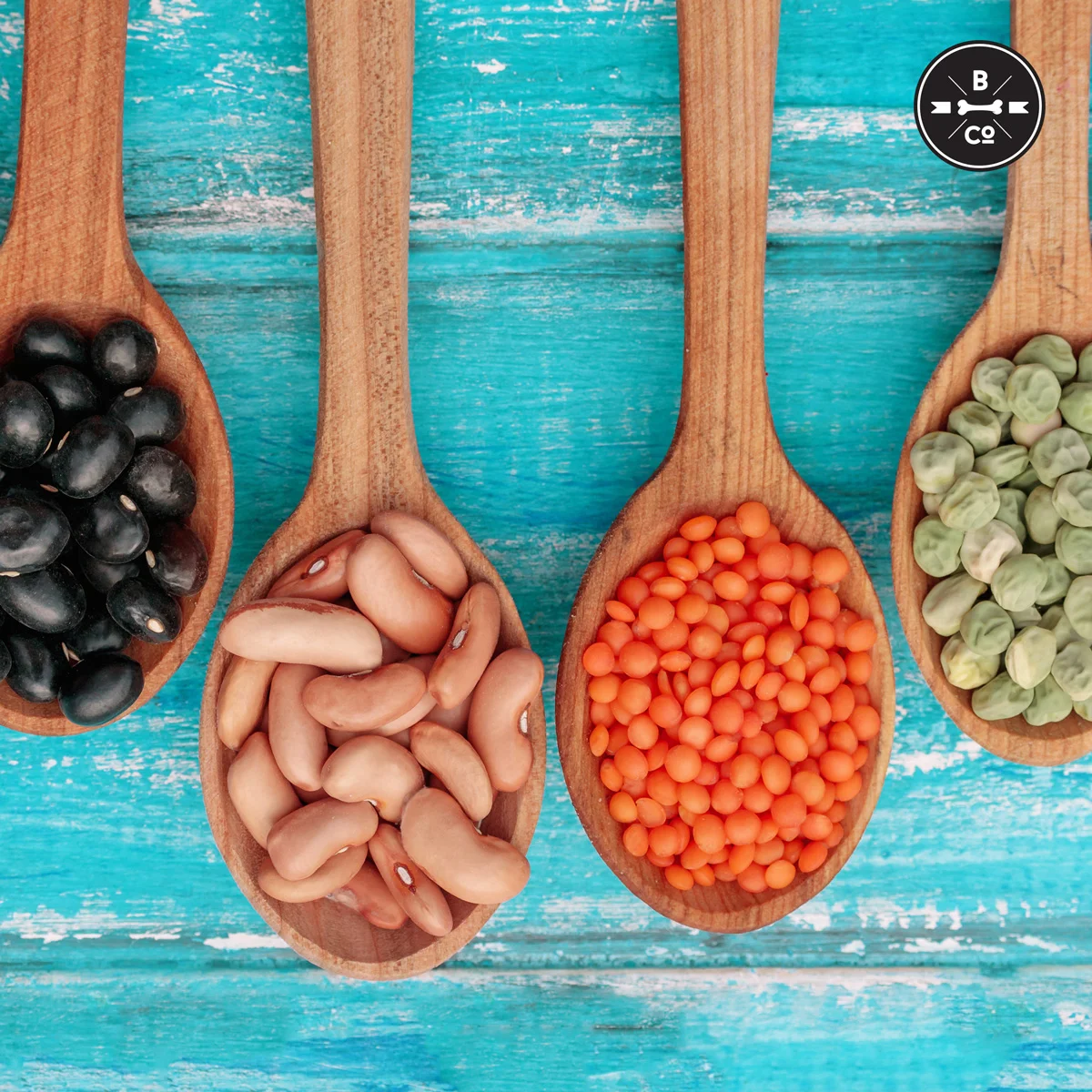 2018 AAFCO Carb Update On Dog Food Labels