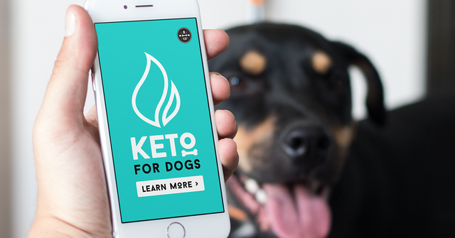 Why Bones &amp; Co. Chooses To Craft Raw Ketogenic Dog Food