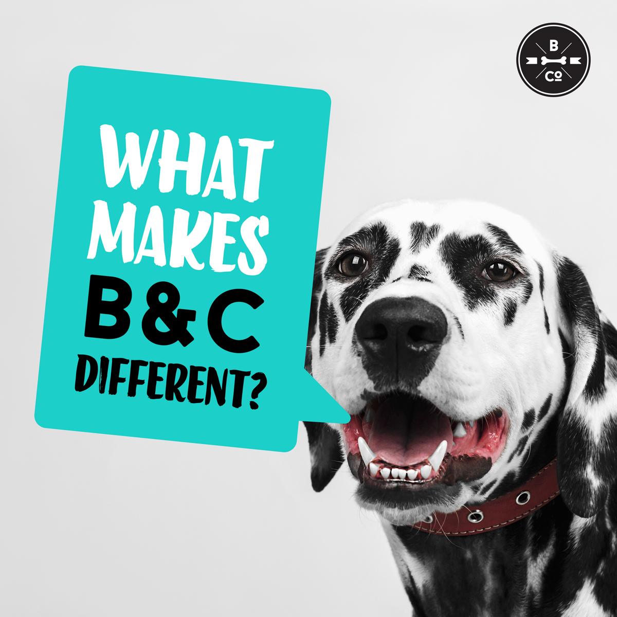 How Bones &amp; Co. Is Different From Everyone Else