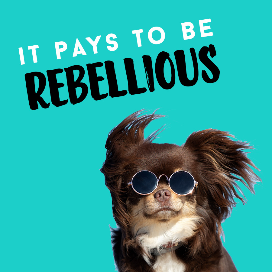 Are You A Bones & Co. Dog Food Rebel?