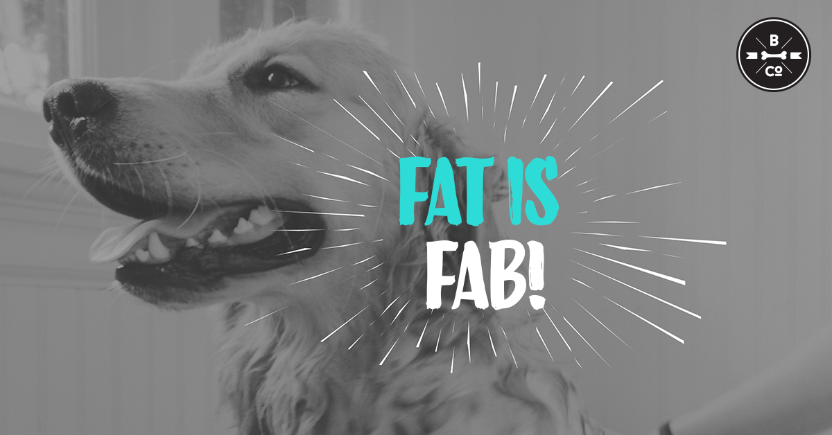 healthy fats for dogs
