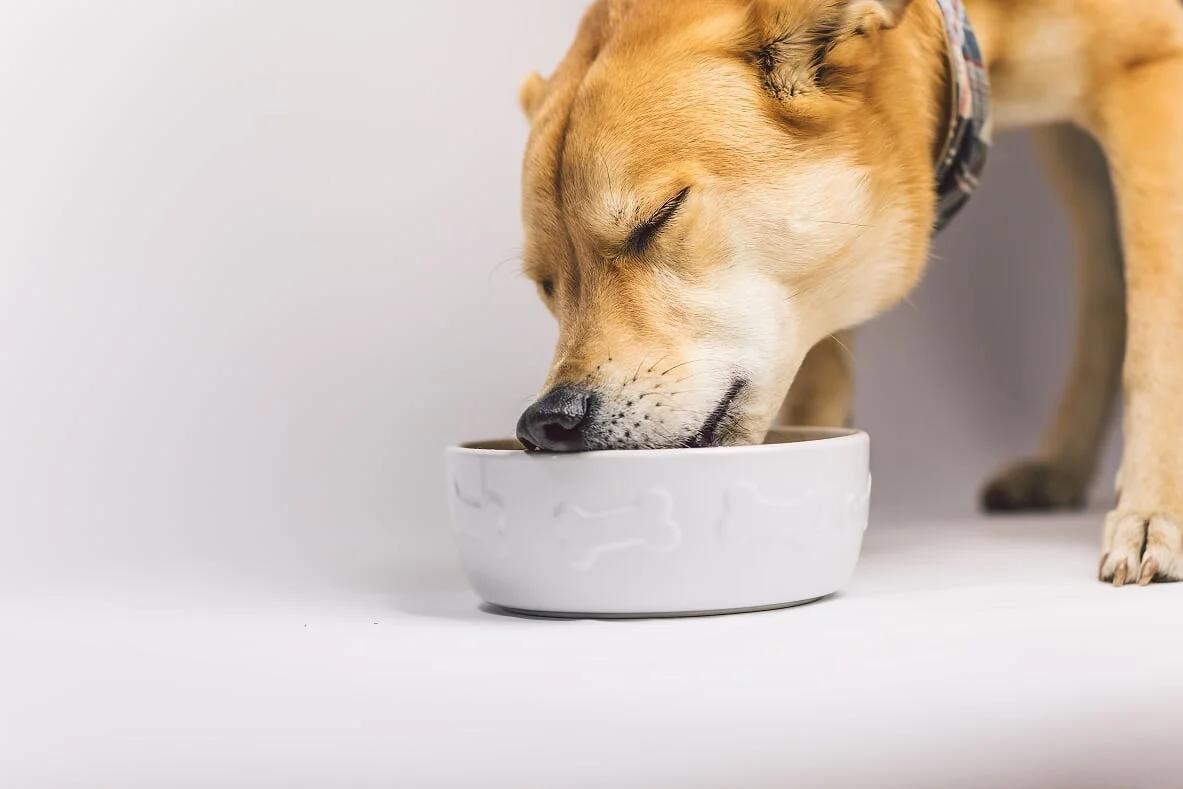 Rigsby Eating 2.jpg