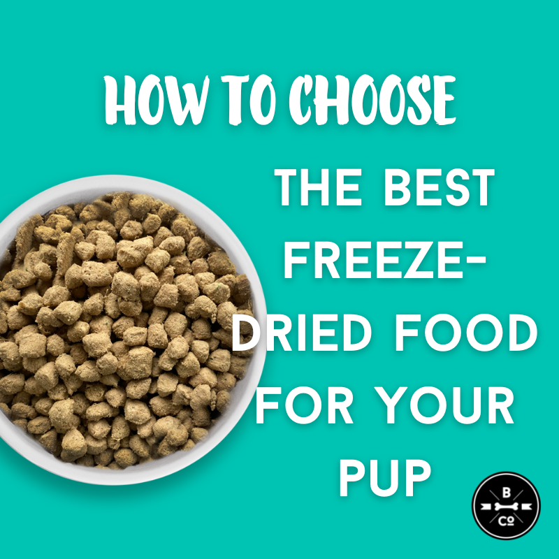 How to Choose the Best Dog Food A Comprehensive Guide