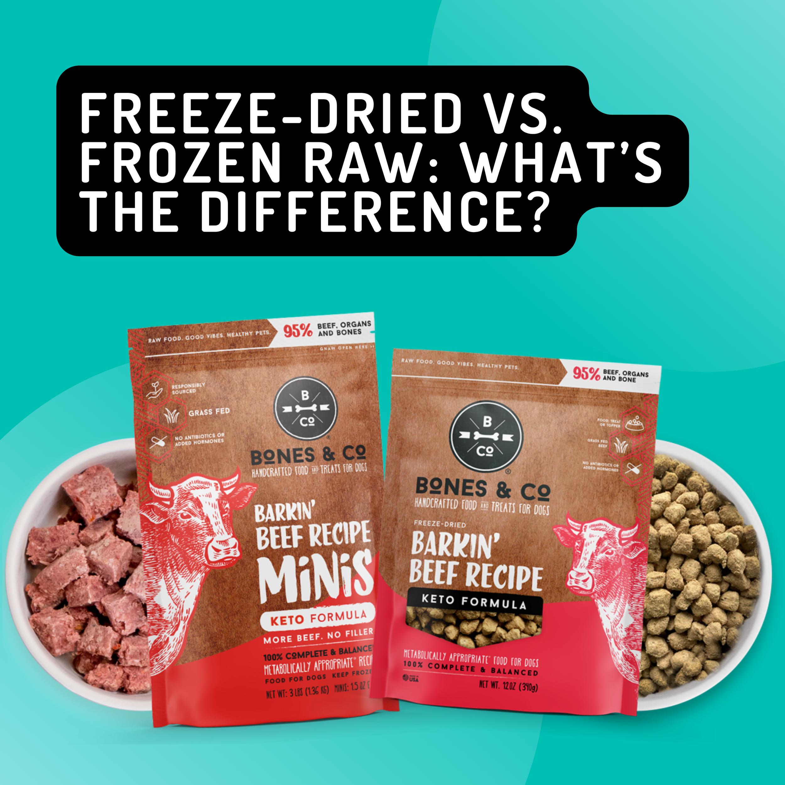 Freeze-Dried vs. Frozen Raw: What’s the Difference?