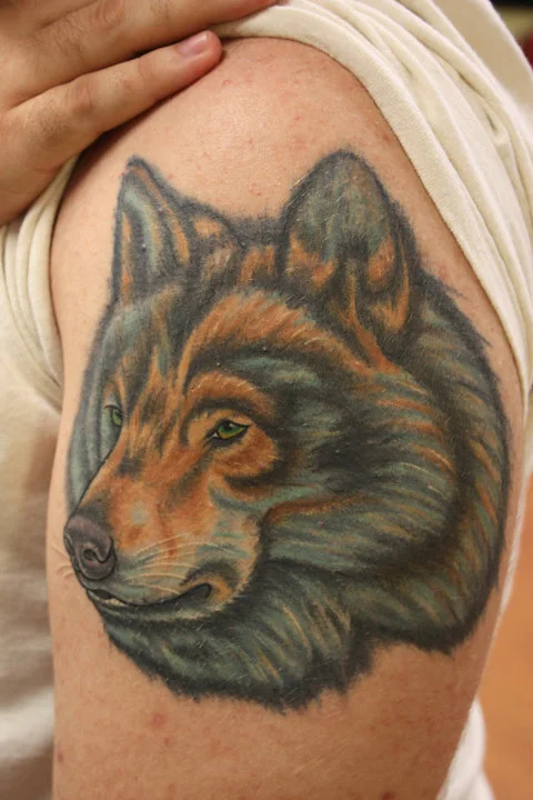 38256_411100871234_3331752_n - Copy.jpg