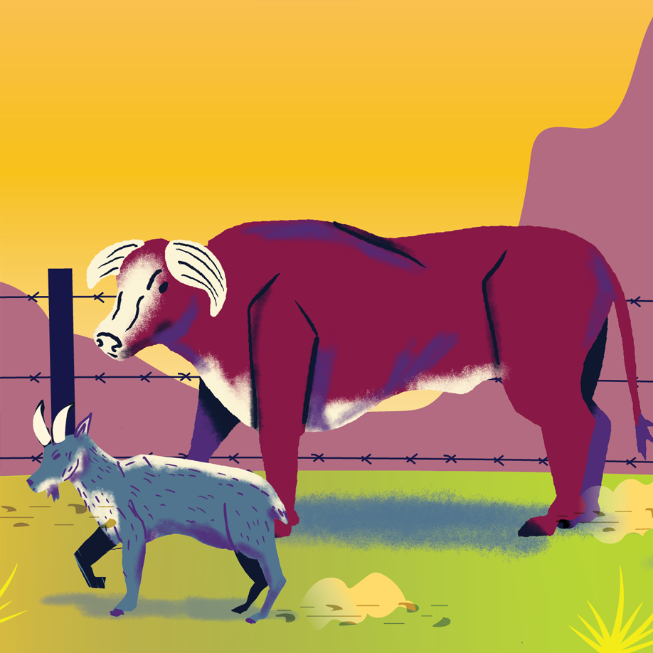 Cow and Goat.png
