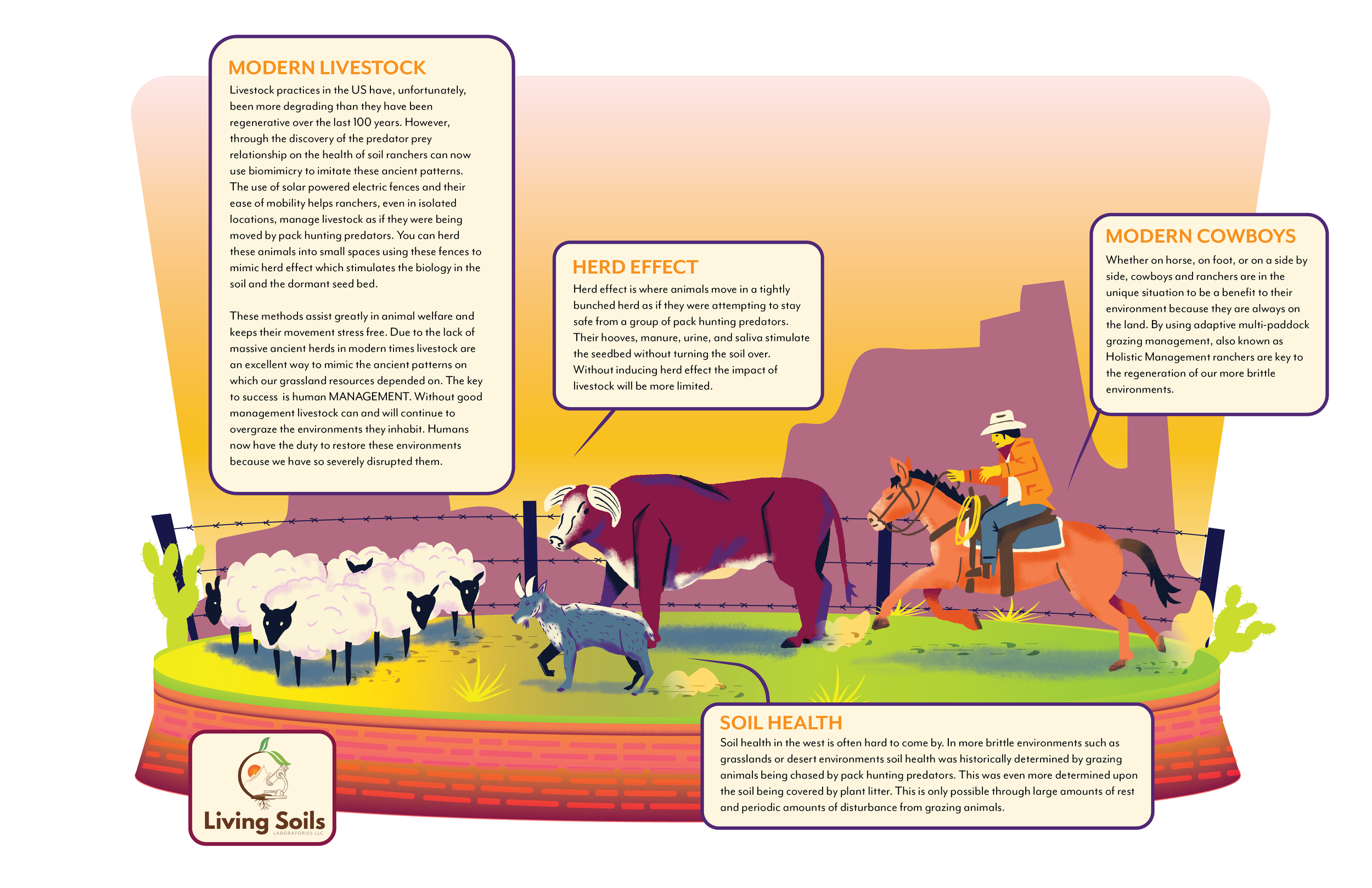 Modern Animal Herding.png