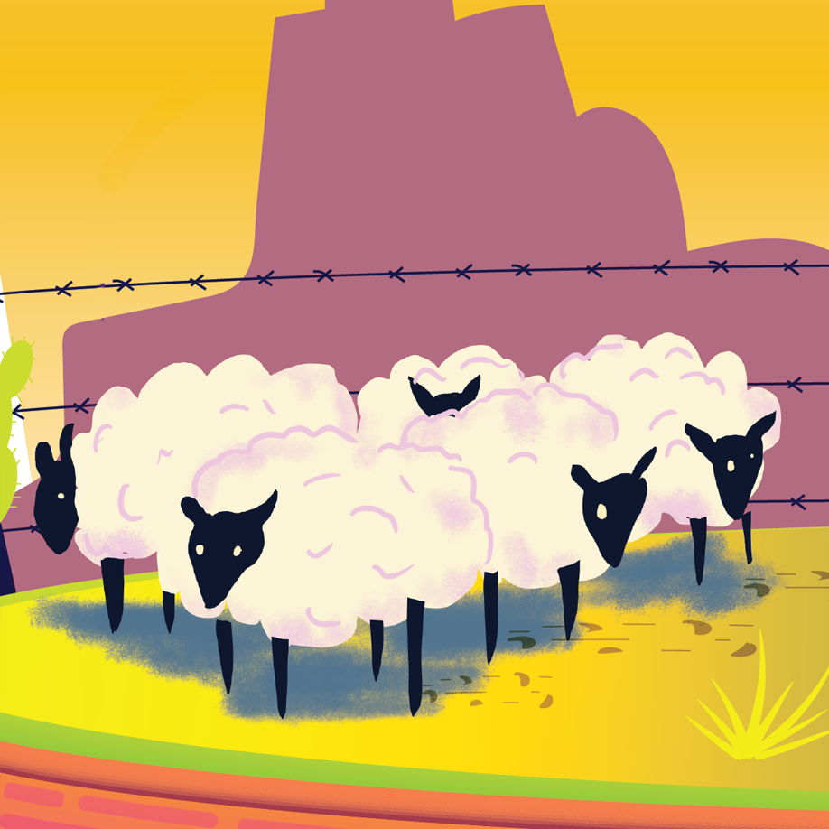 Sheep.png