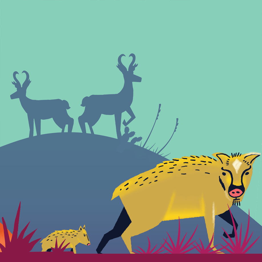 warthogs.png