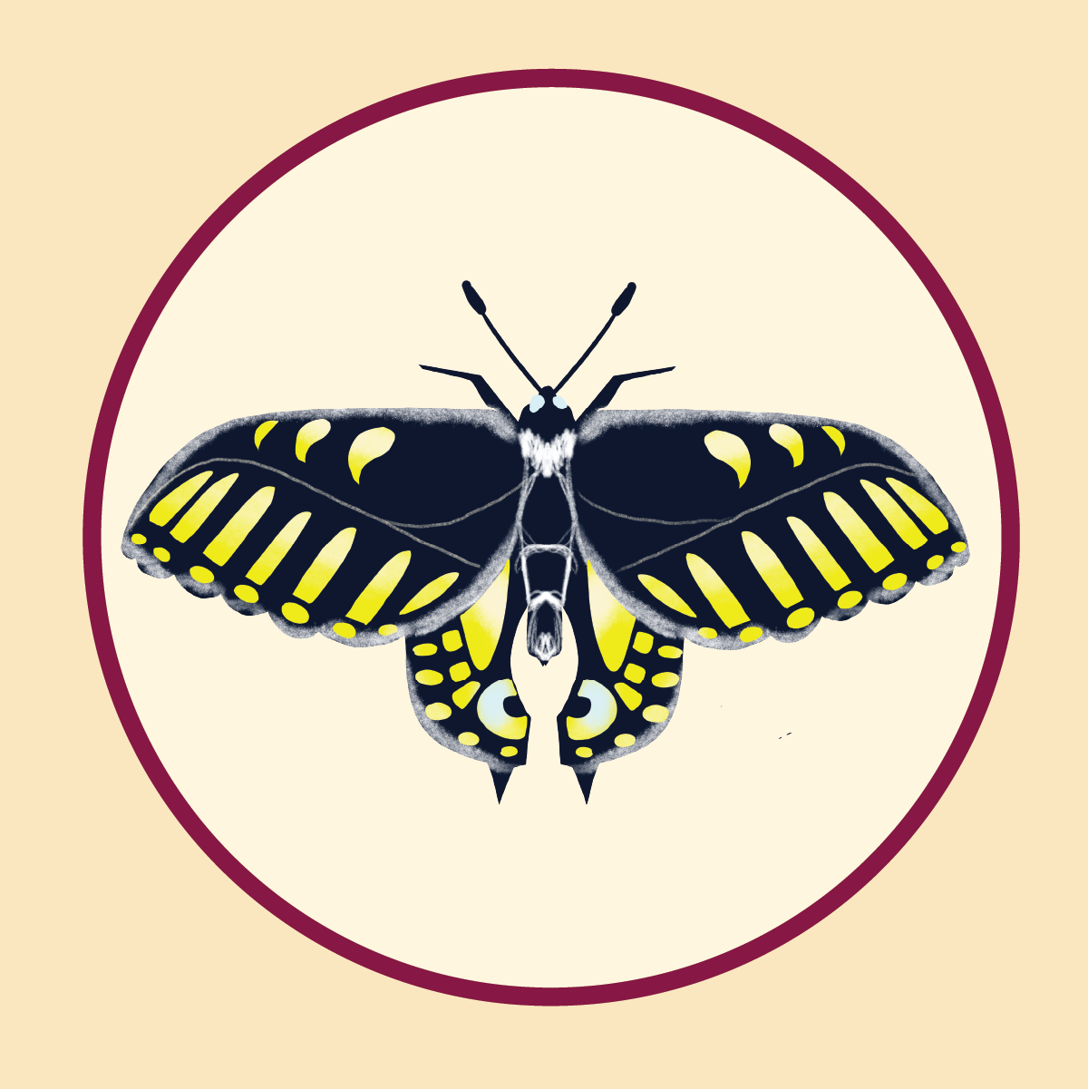 Butterfly.png