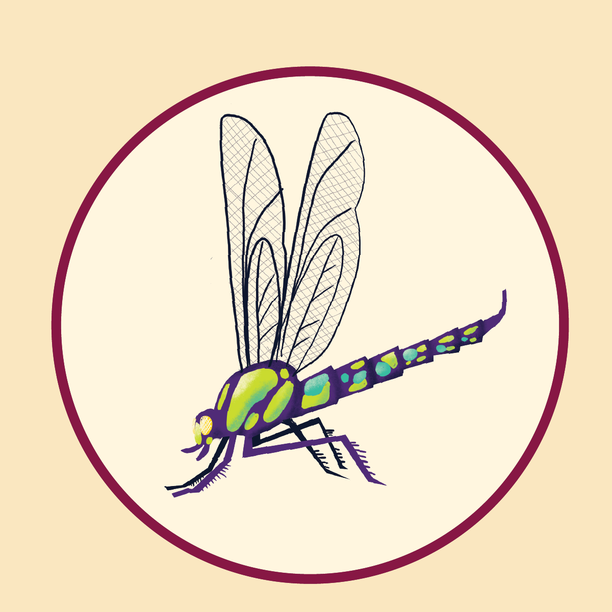 Dragonfly.png