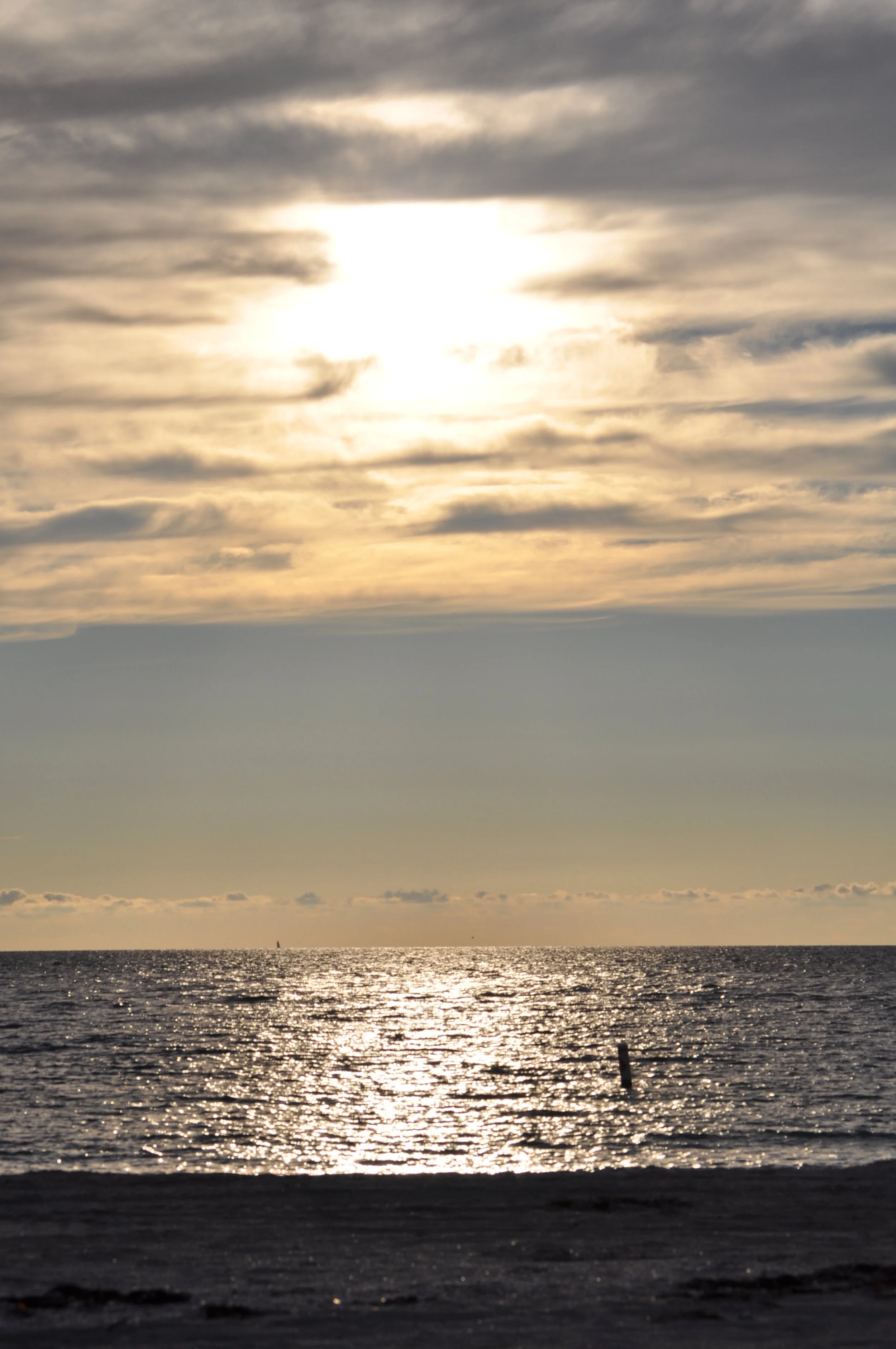 Wedding 126 (46).JPG