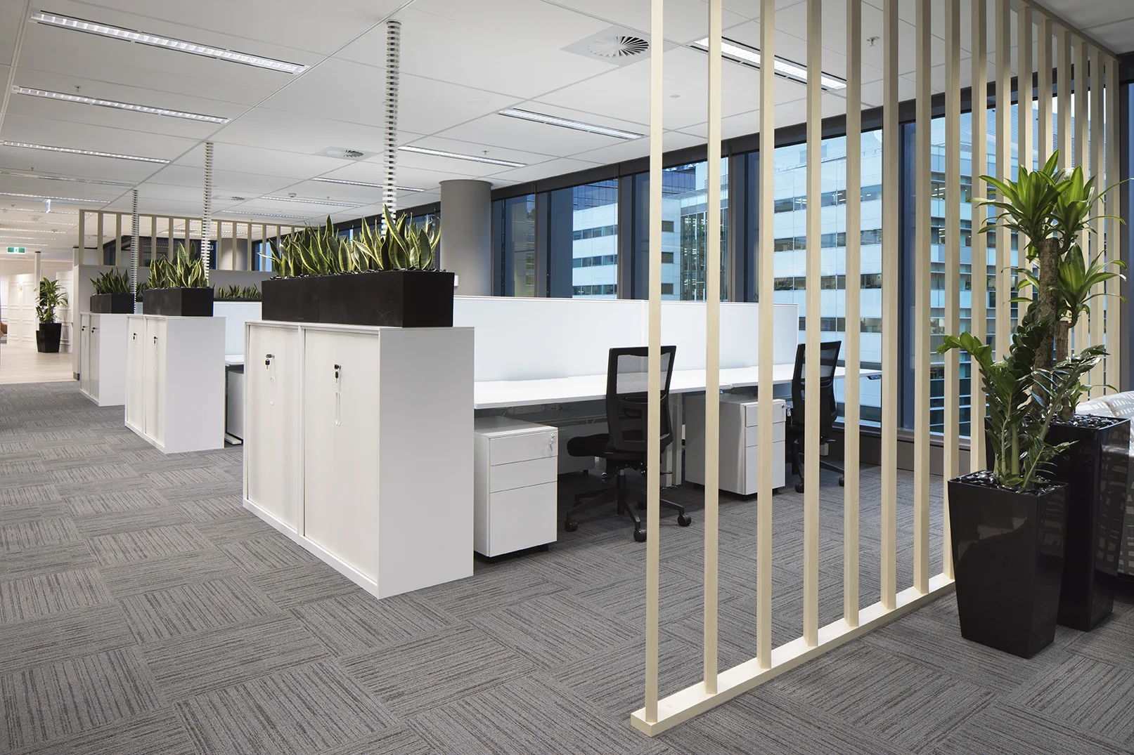 Clean, crisp office fitouts, with planter boxes used to enhance privacy. 