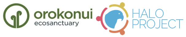 Logos.png