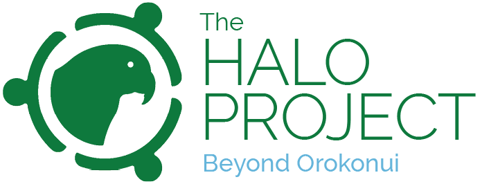 The Halo Project