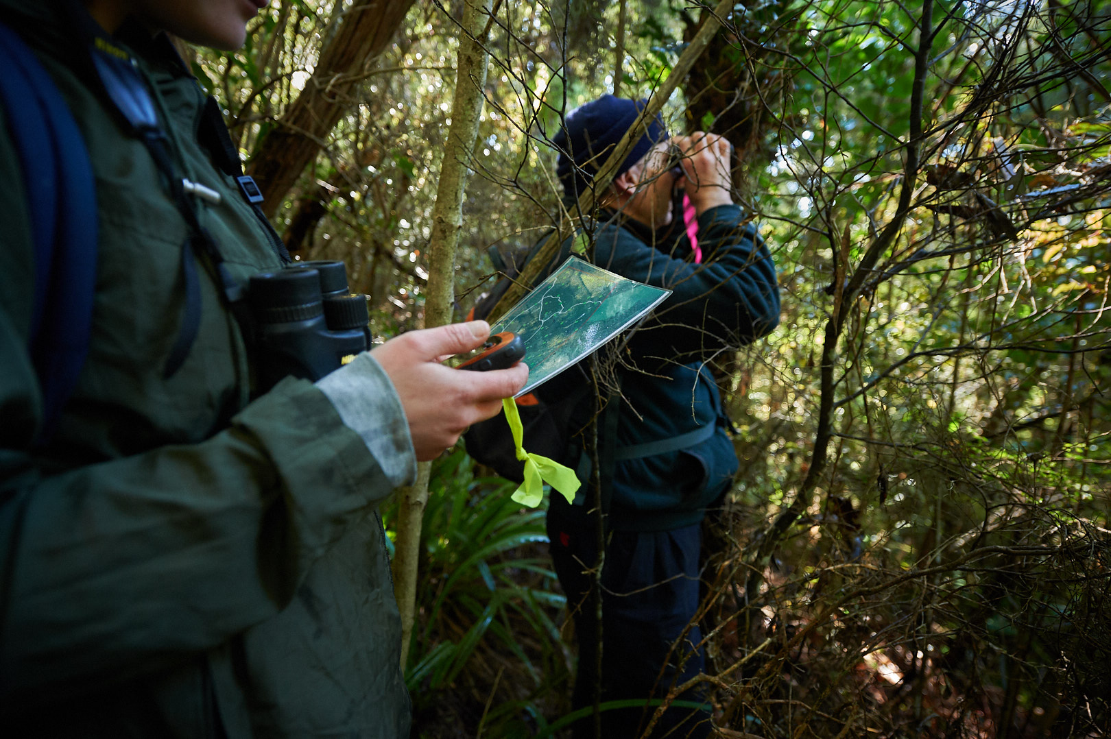 Volunteers conducting a bird count