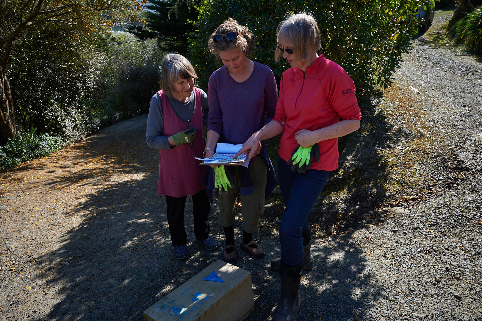 Volunteers bringing in traps to clean and maintain