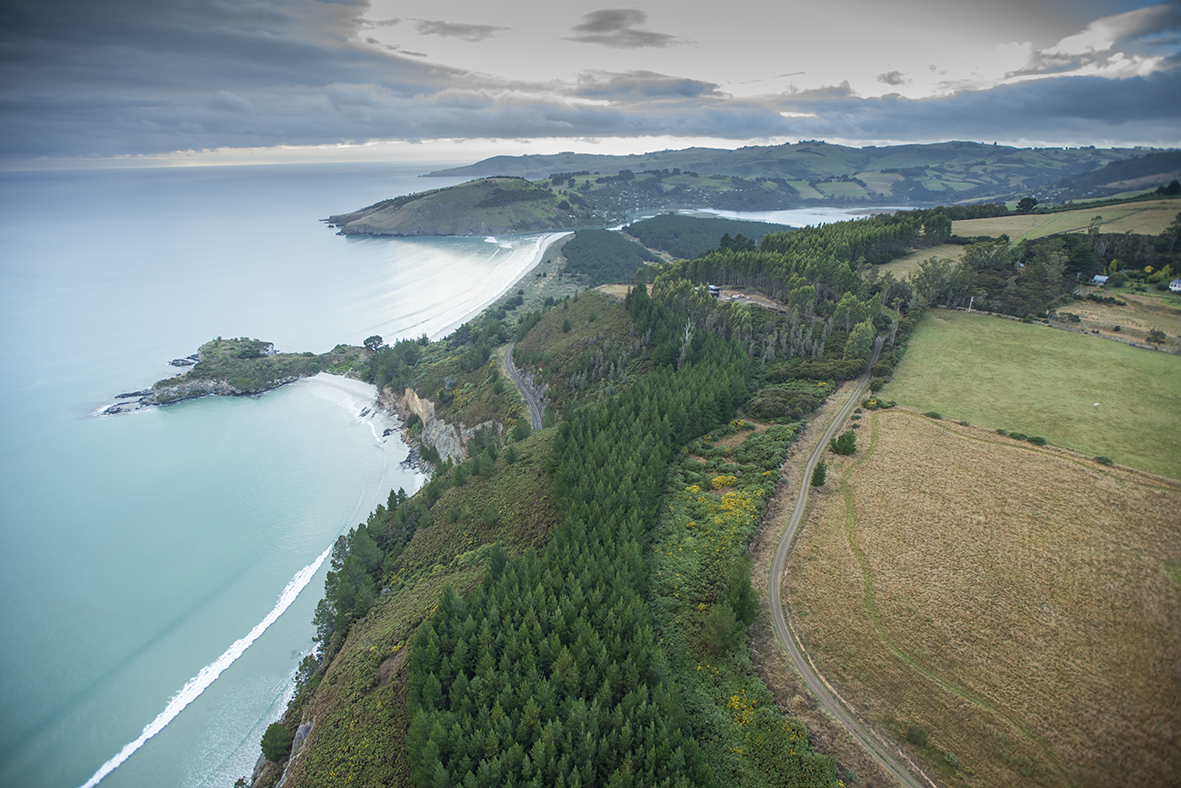 Māpoutahi Pa and Drs Point by Scott Mouat