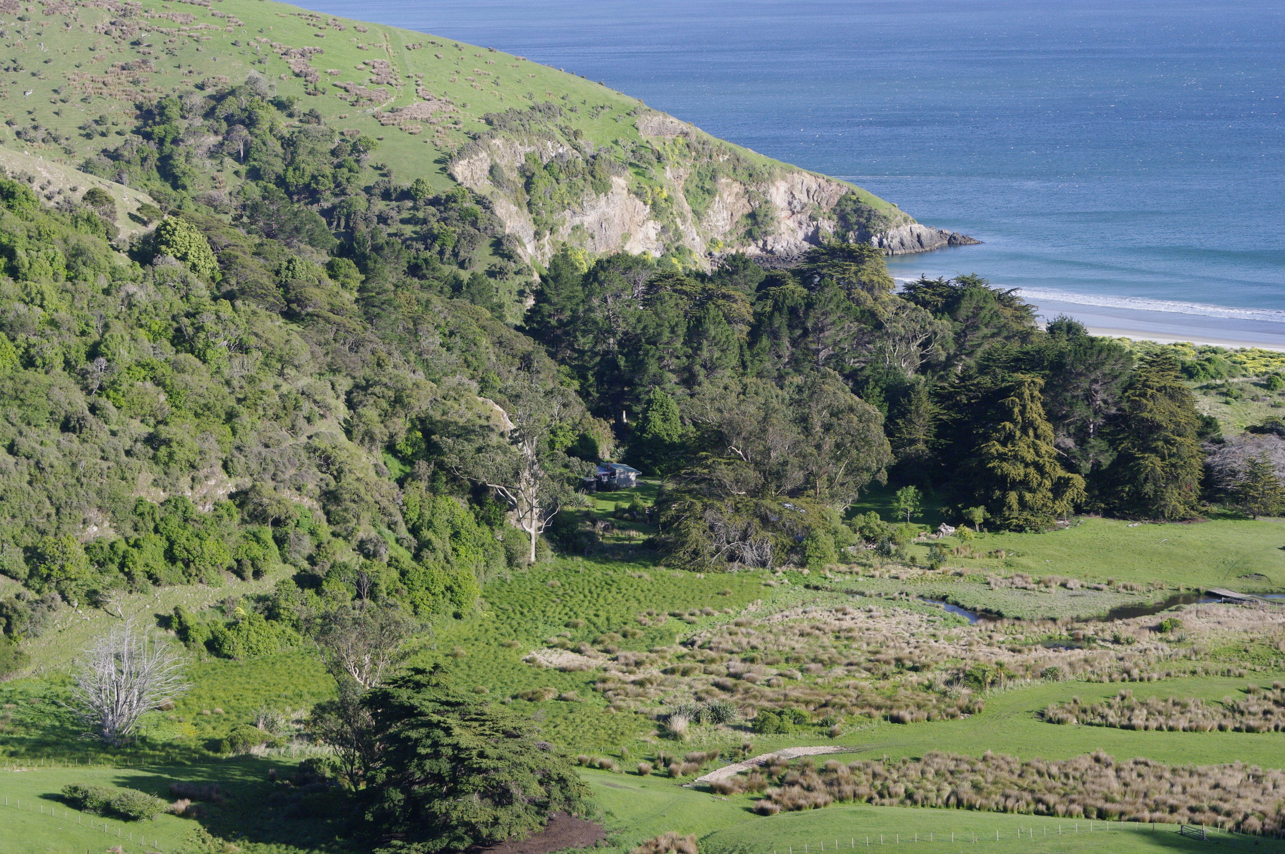 Whareakeake wetlands and coastal forest by Rhys Millar