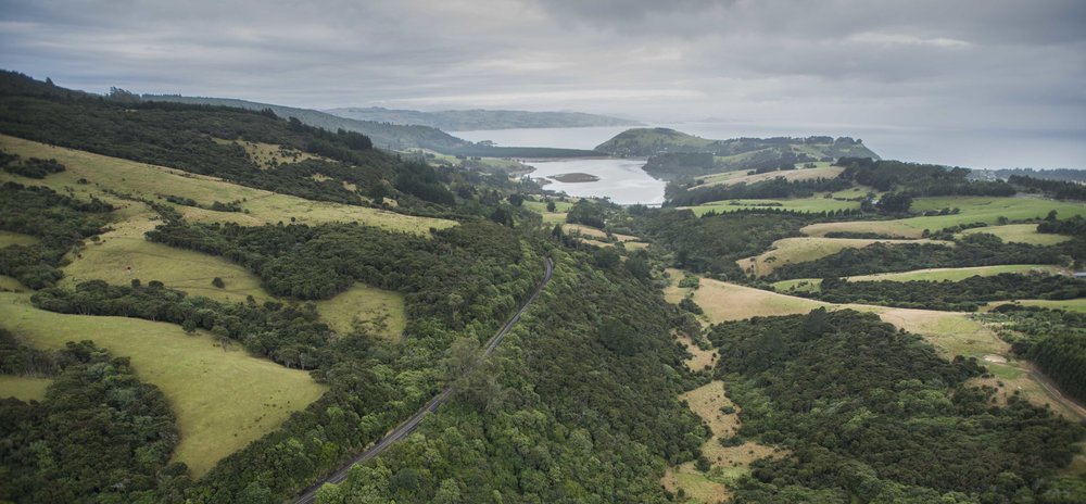 How to use a T-Rex rat trap — Predator Free Dunedin