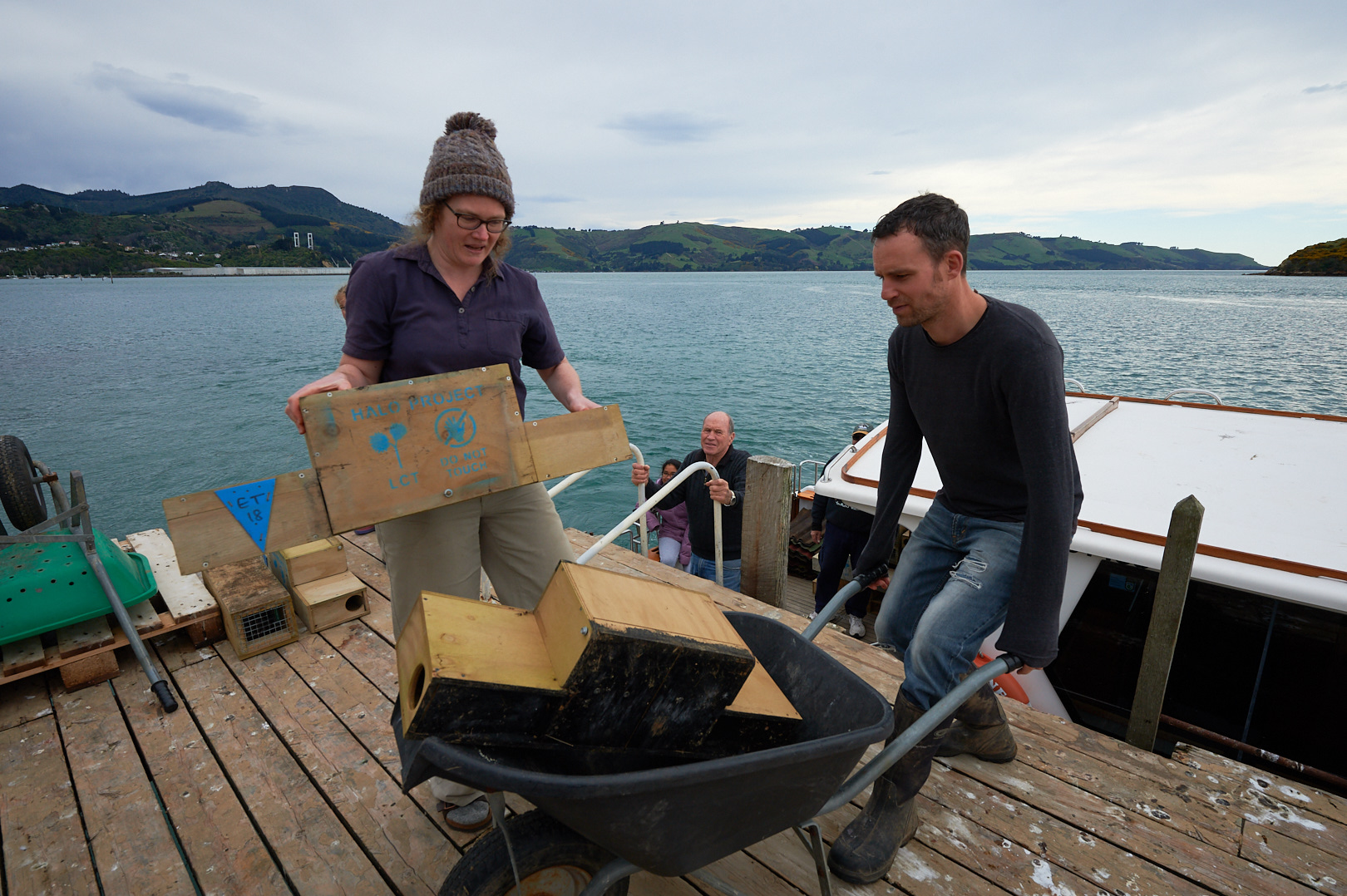 Unloading traps at Kamau Taurua/Quarantine Island