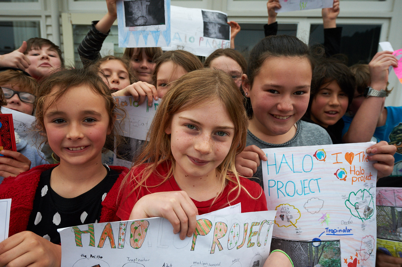 Room 4 at Port Chalmers School with their Halo Project posters