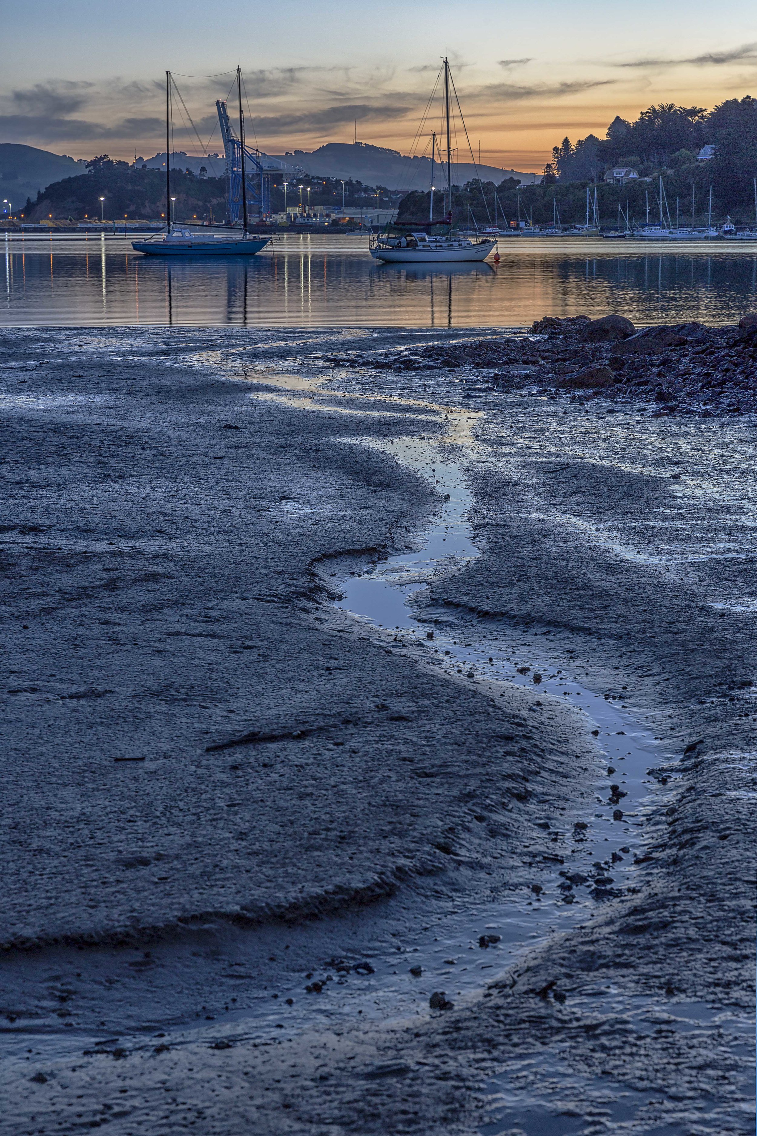 Careys Bay mudflats by Andy Thompson