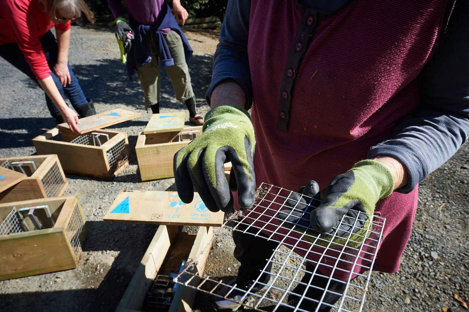 Volunteers cleaning traps