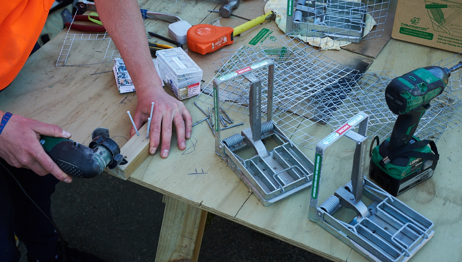 Staff maintaining and adjusting traps