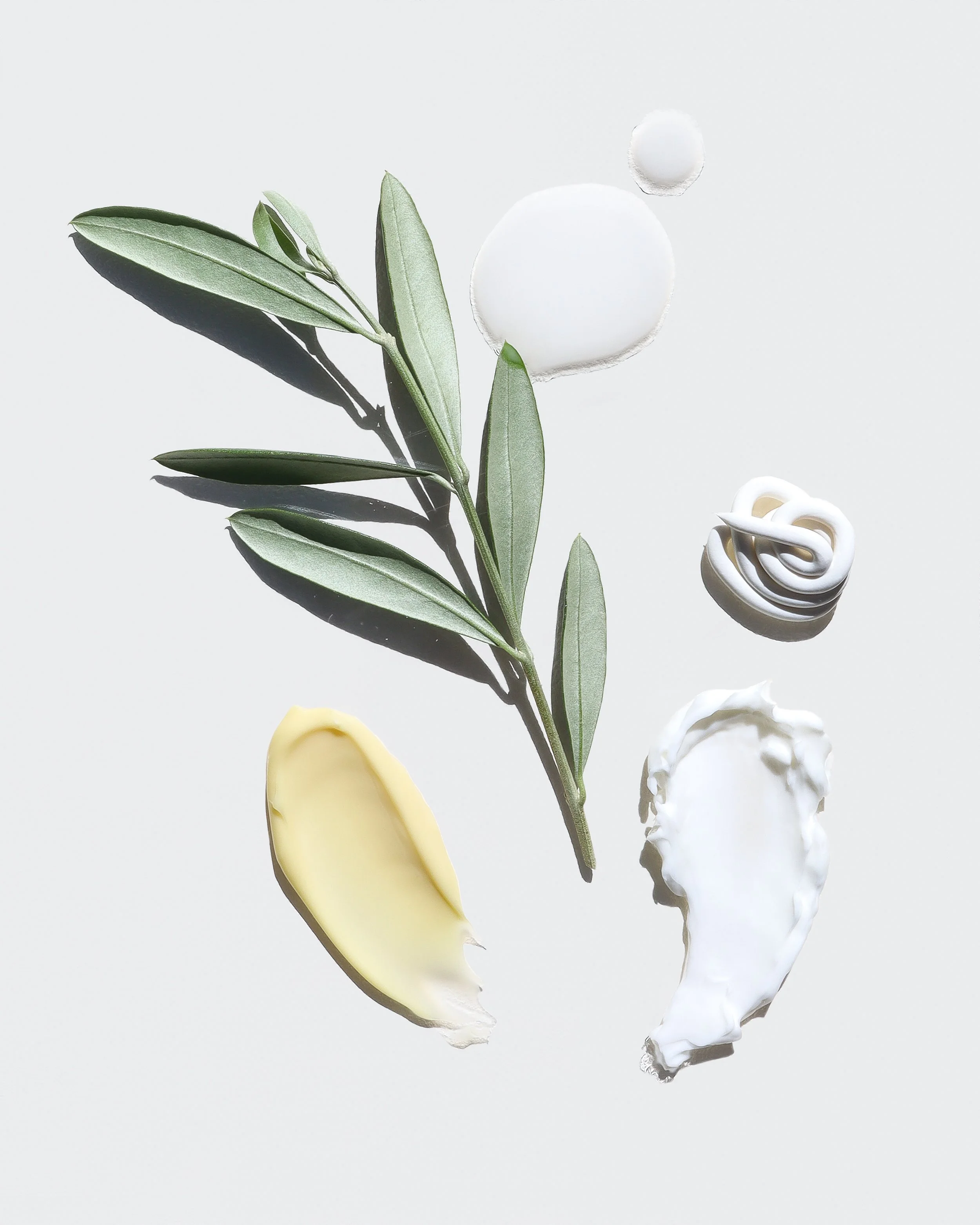 Natural Ingredient Swatches.jpg