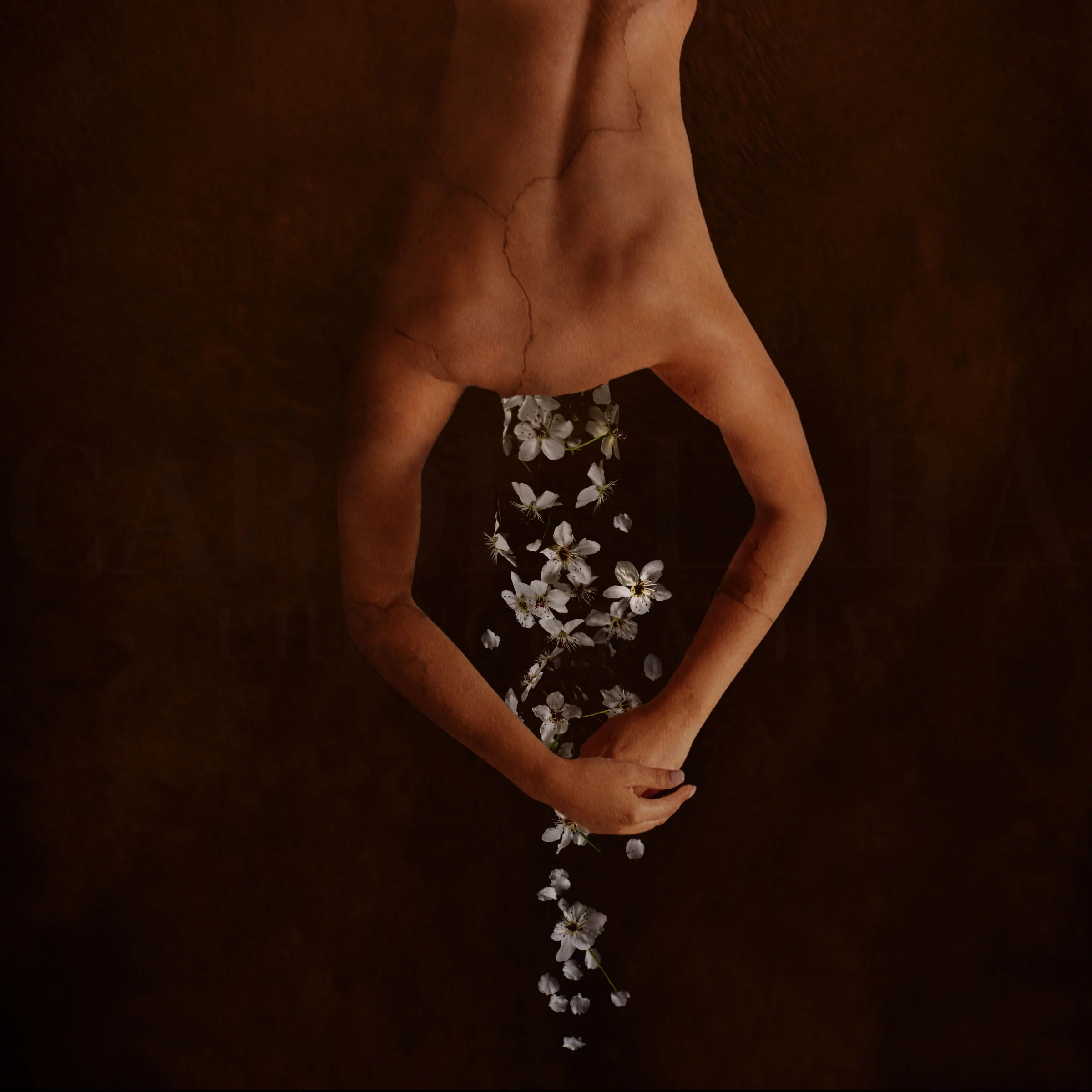 Flower Head 1.jpg