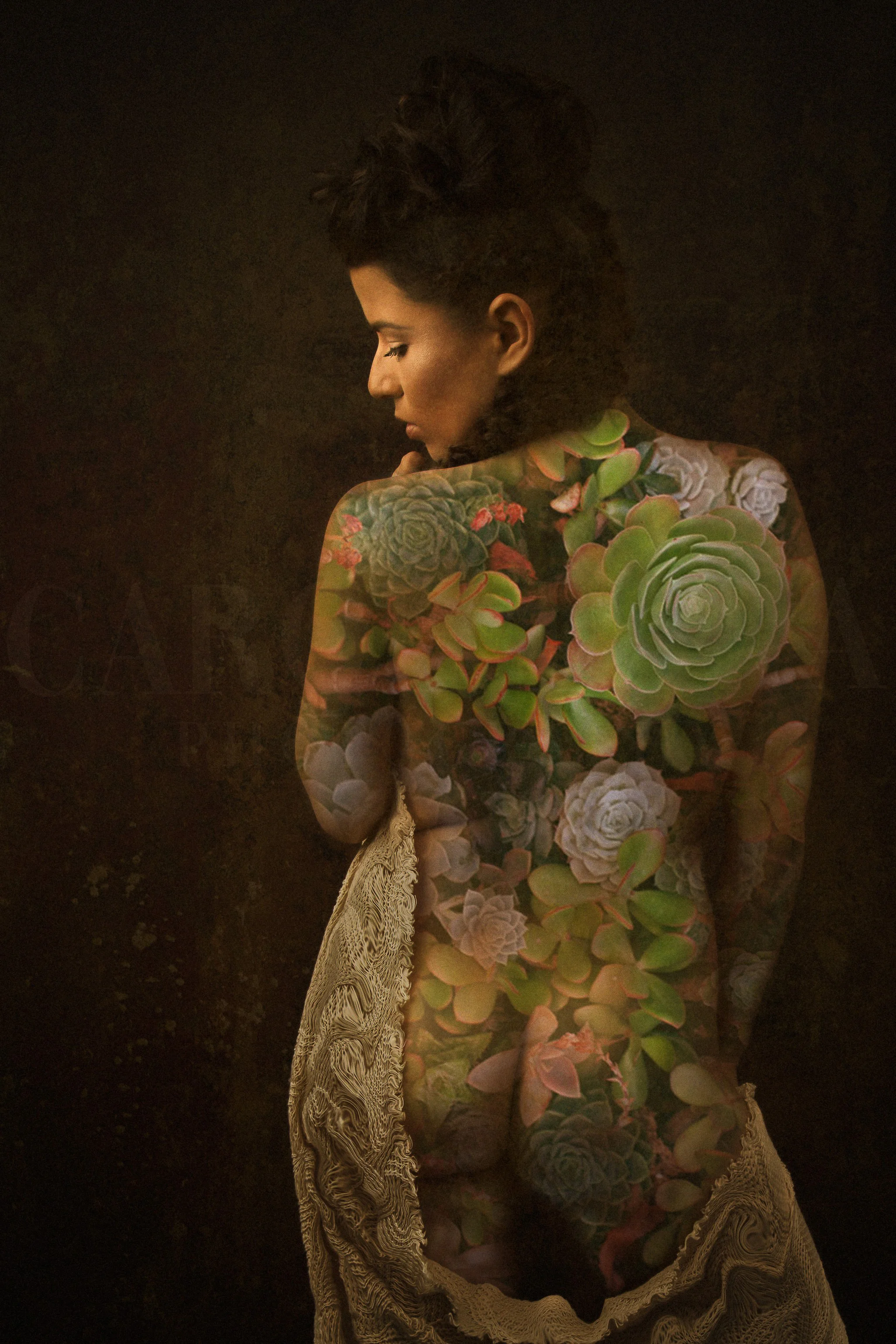 succulent danielle-logo.jpg
