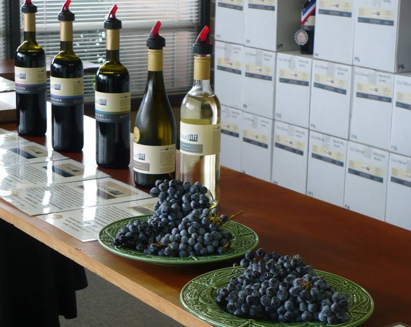 Image of Cloudlift Cellars tasting room with wines and grapes.
