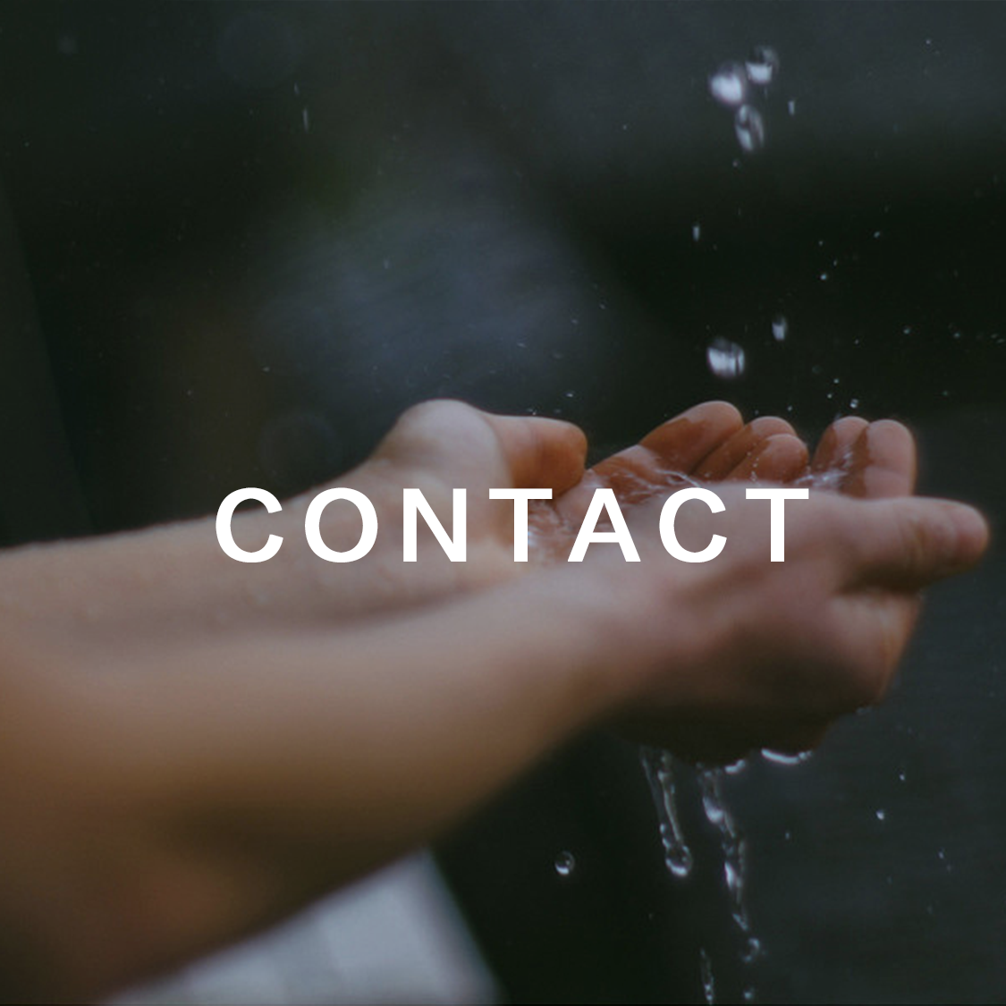 contact-2.png