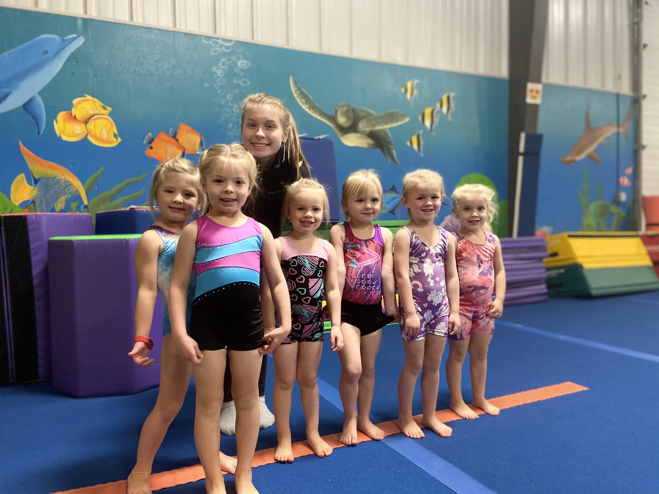 Preschool Gymnastics — Capital Gymnastics