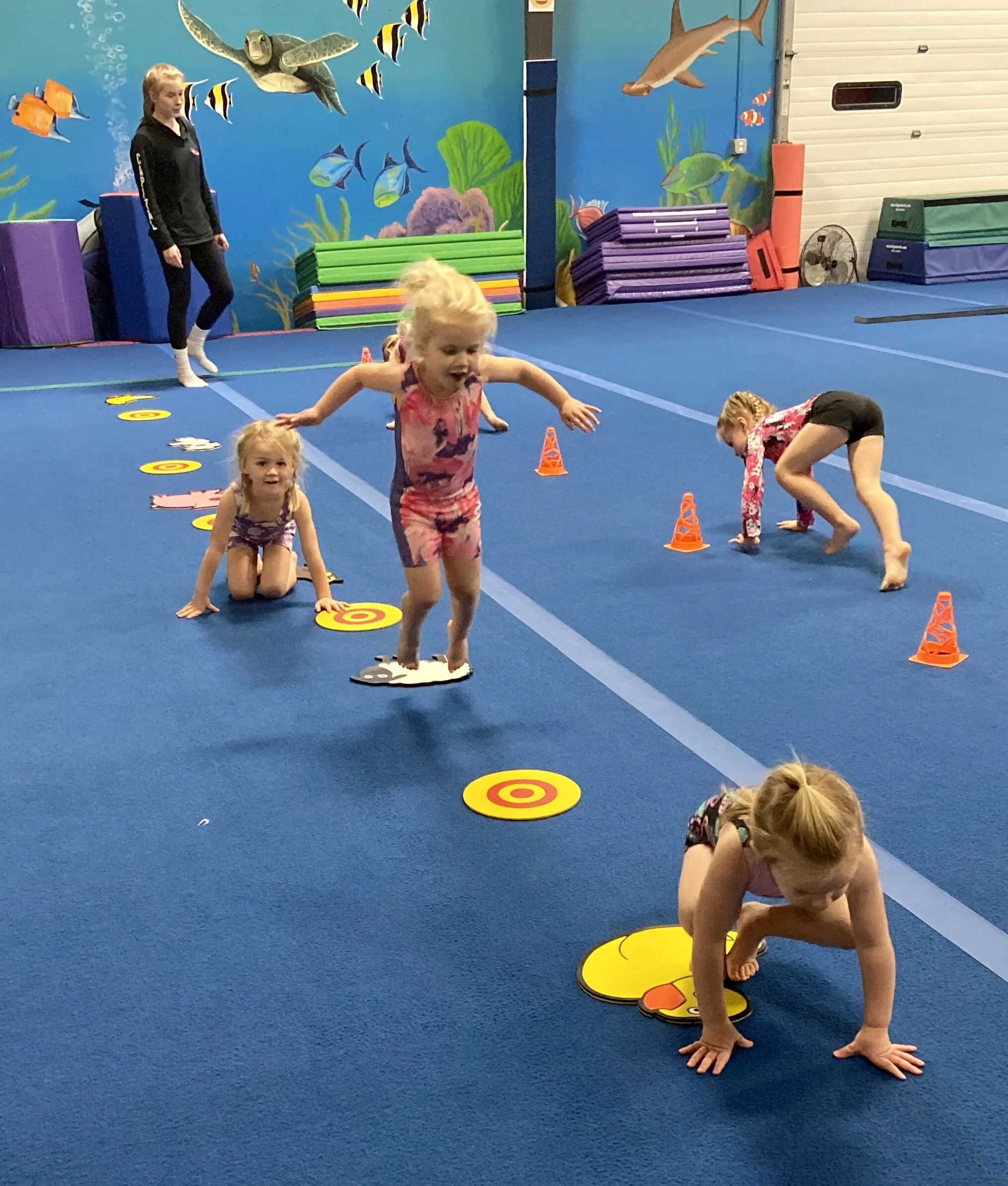 Preschool Gymnastics — Capital Gymnastics