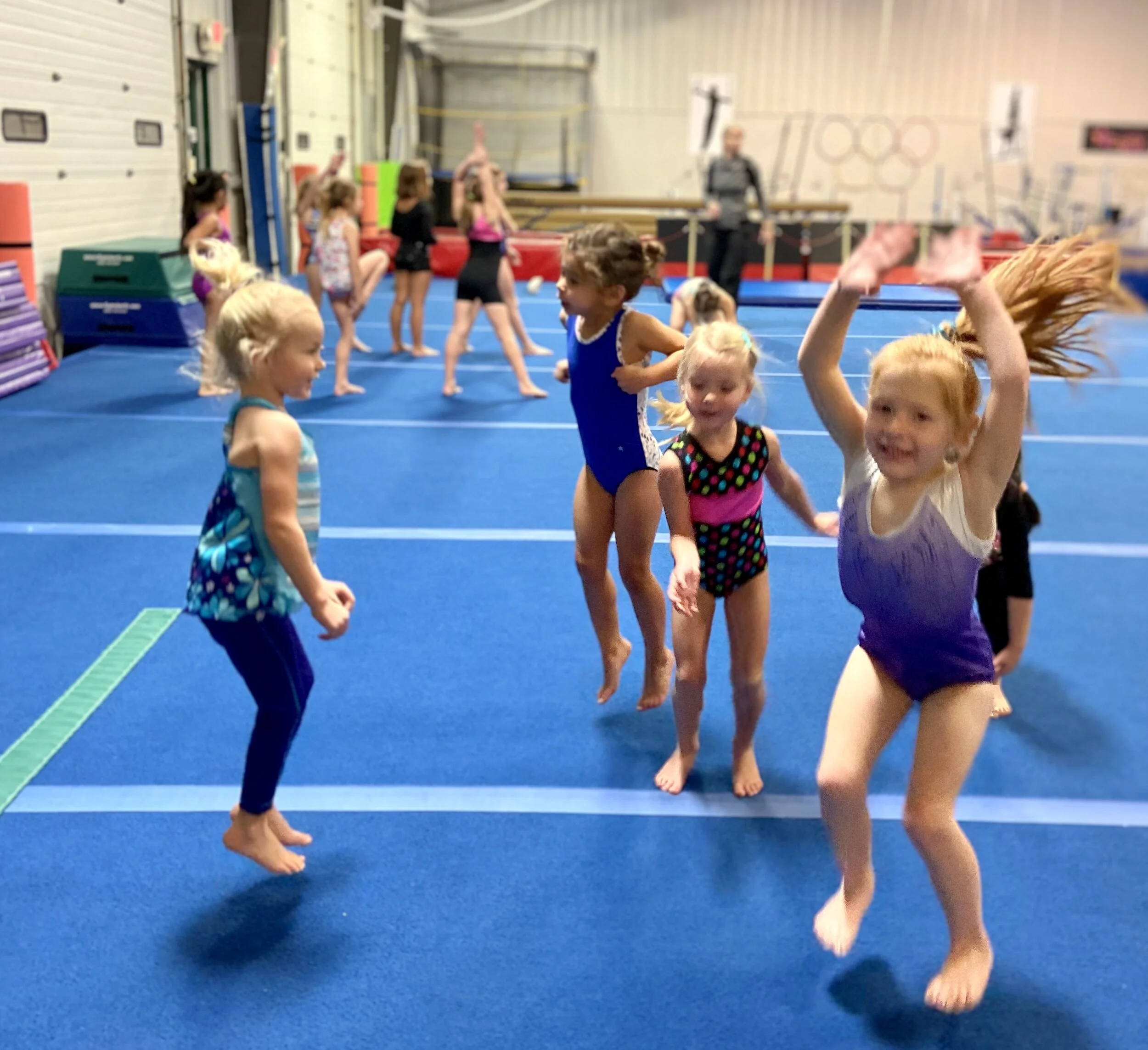 Preschool Gymnastics — Capital Gymnastics