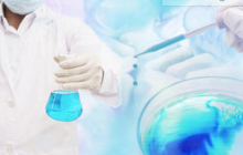 telomere_banner.jpg