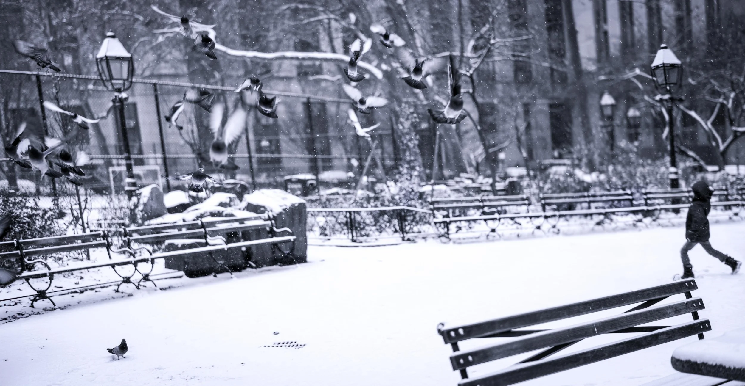 A Quiet Winter Moment in the City