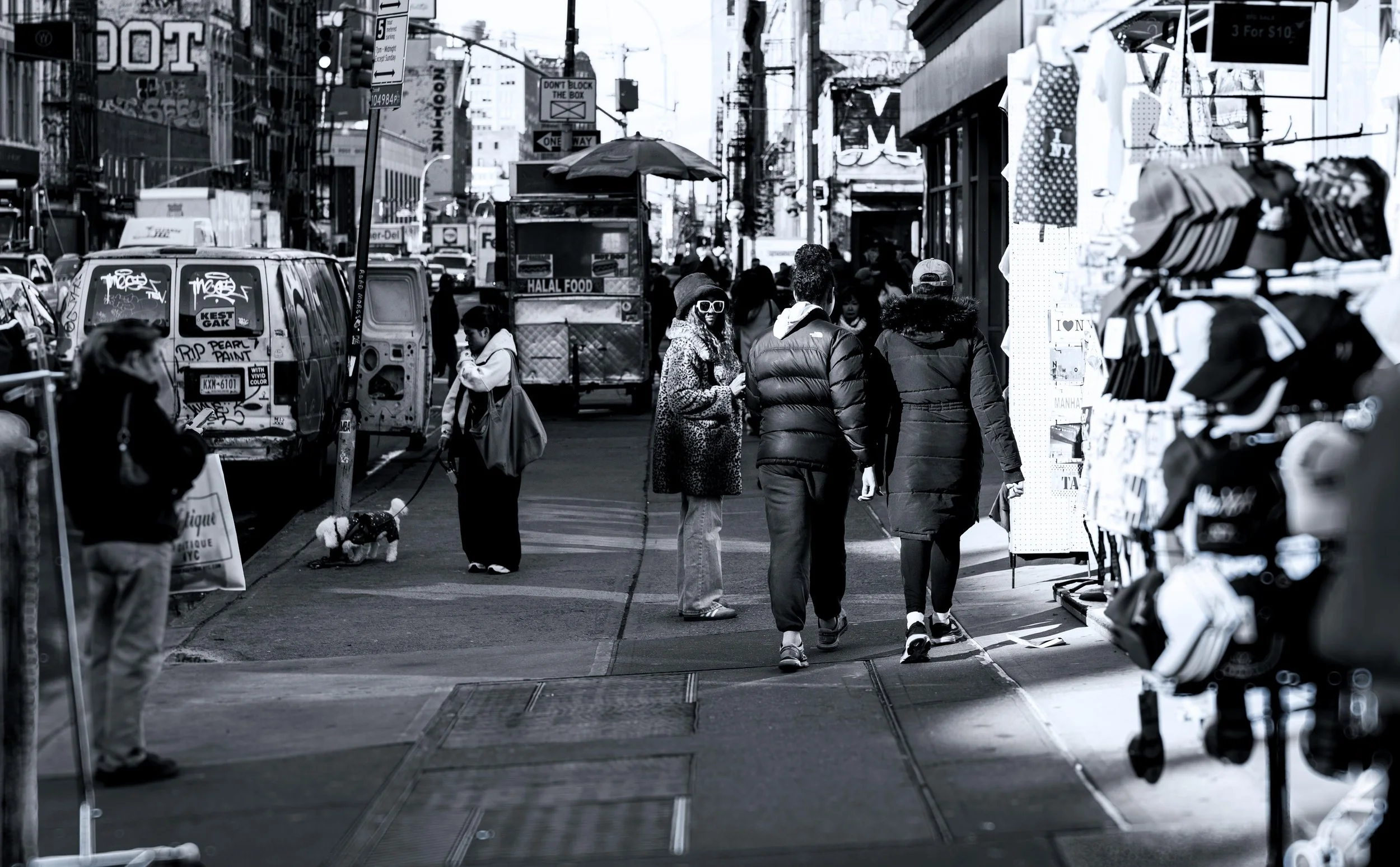 Capturing Magic with the Canon R5 and Zeiss Milvus 50mm f/1.4