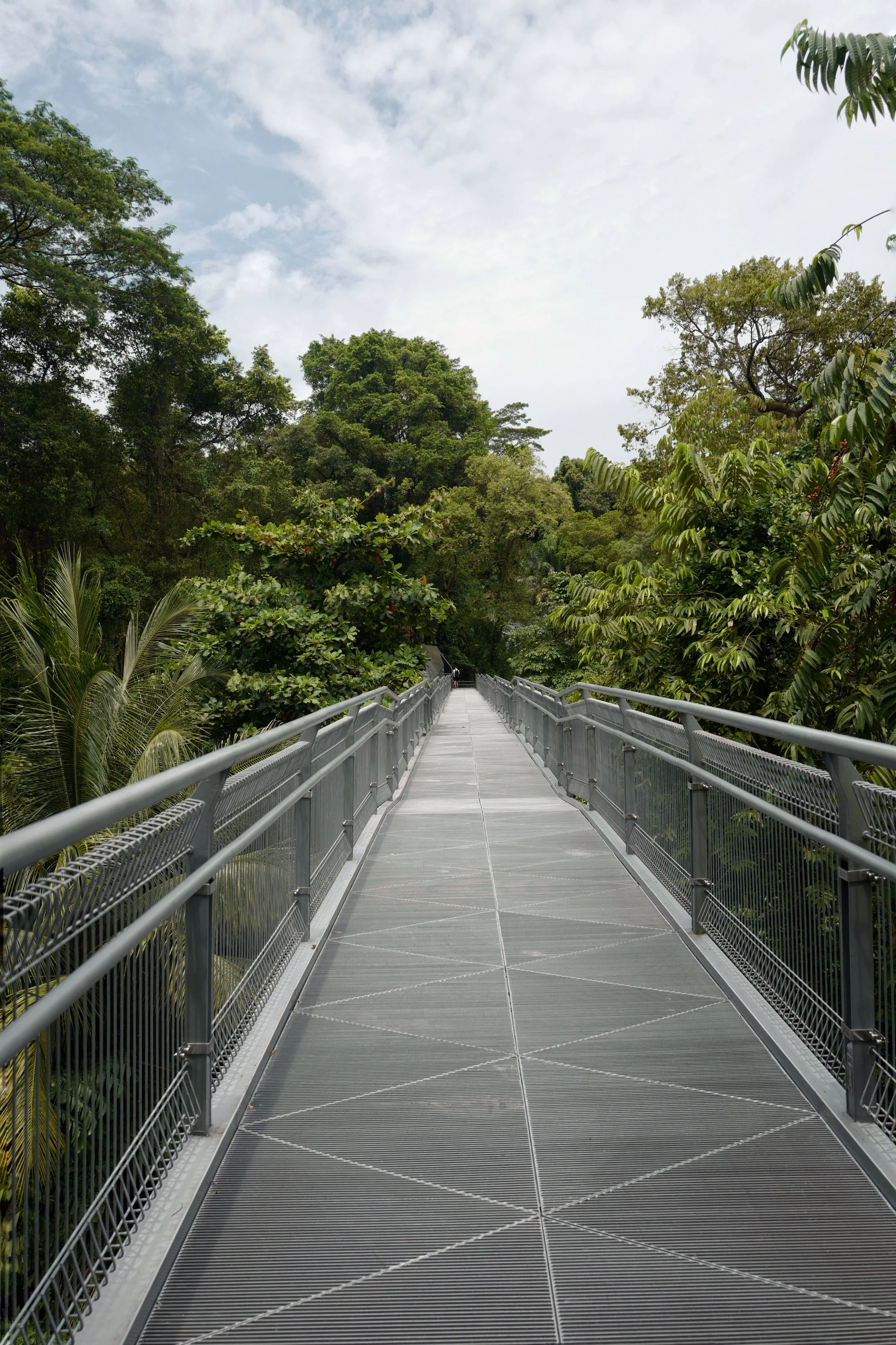 A bridge on the Southern Ridges
