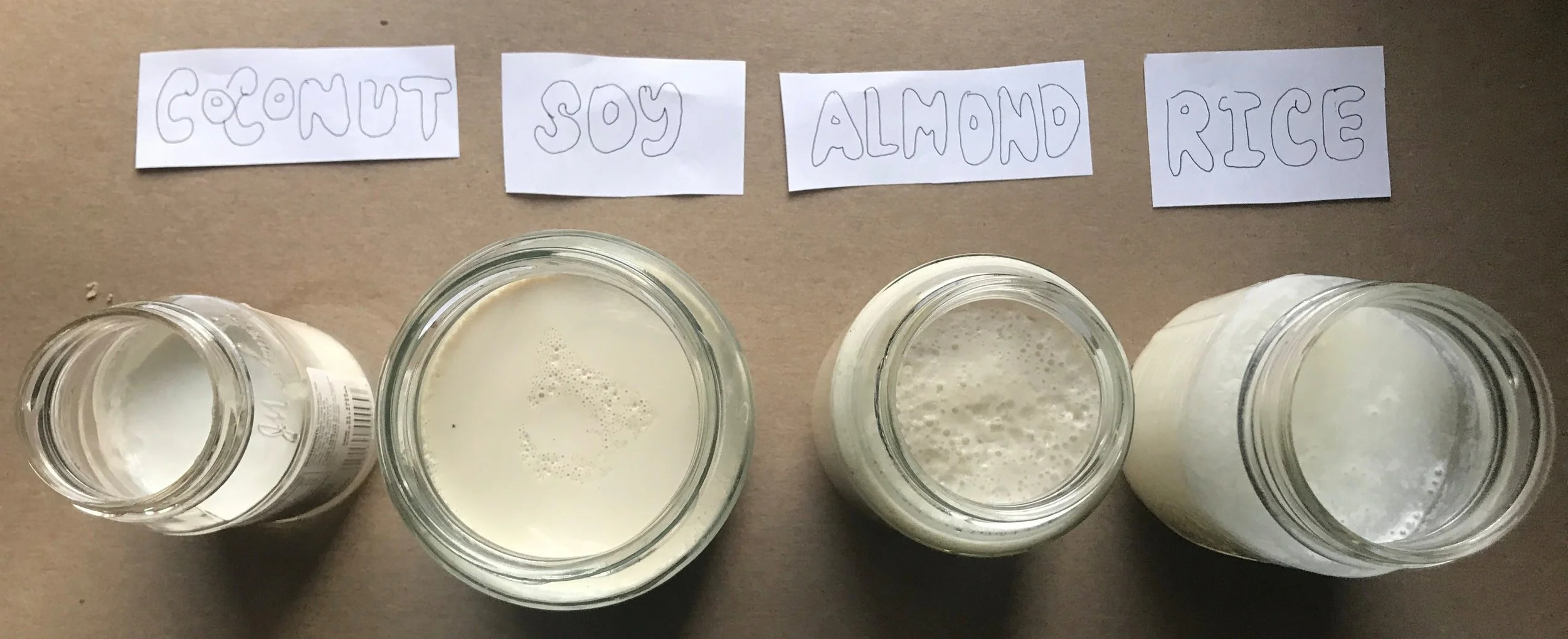 Yogurts after fermentation