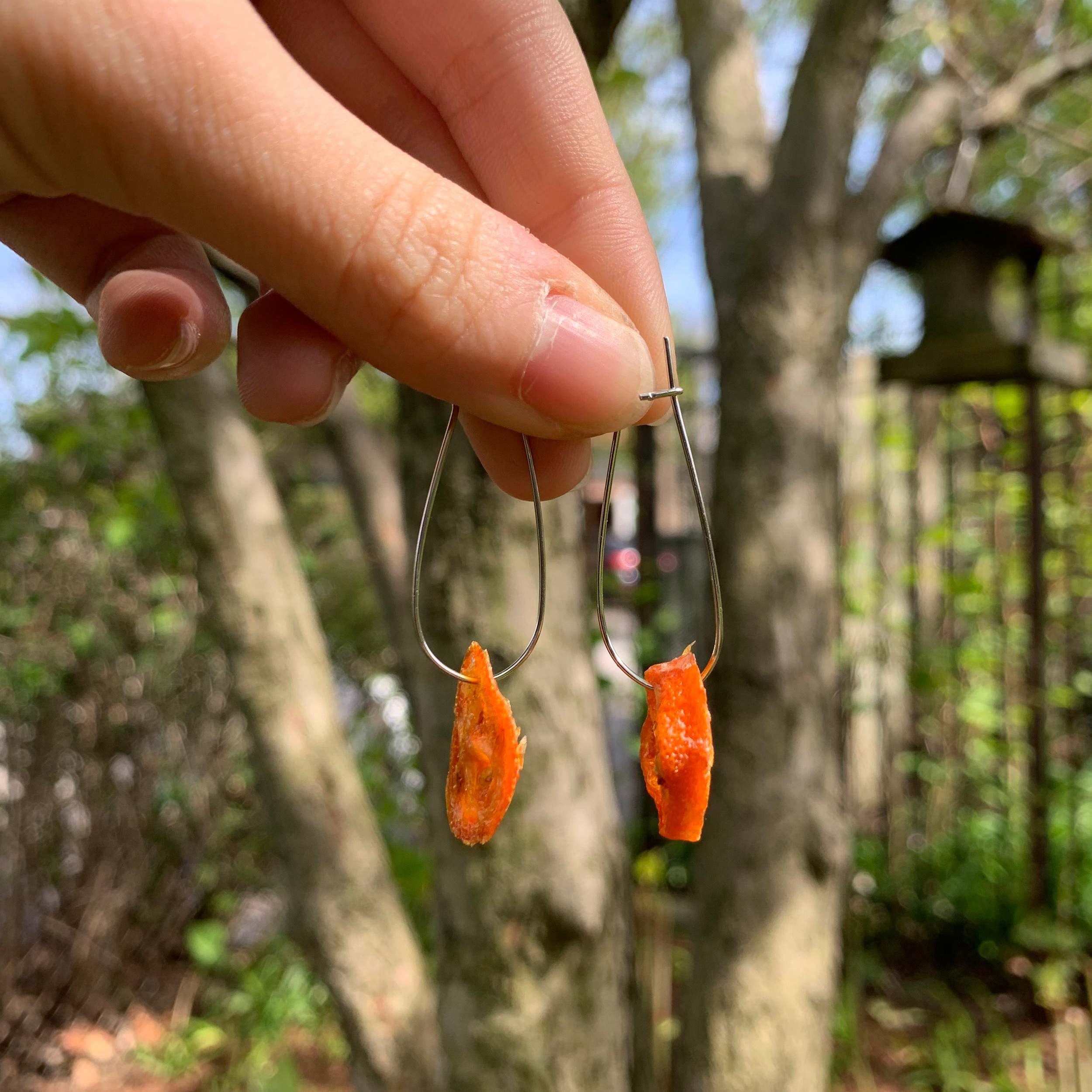 Dehydrated Fruit Earrings 