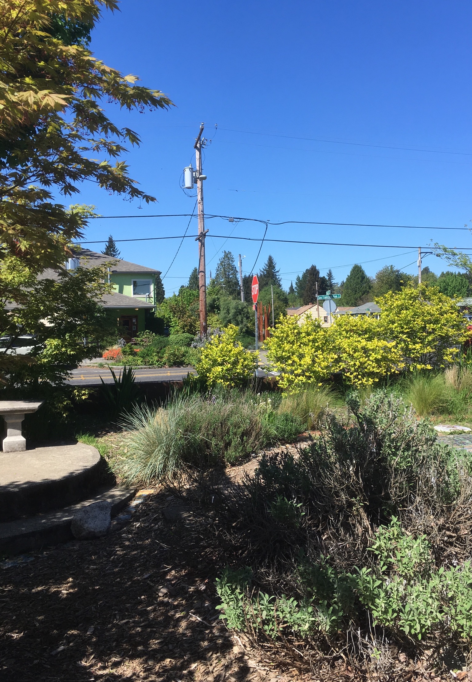 The Roosevelt Elementary School Time Garden, 5/7/18