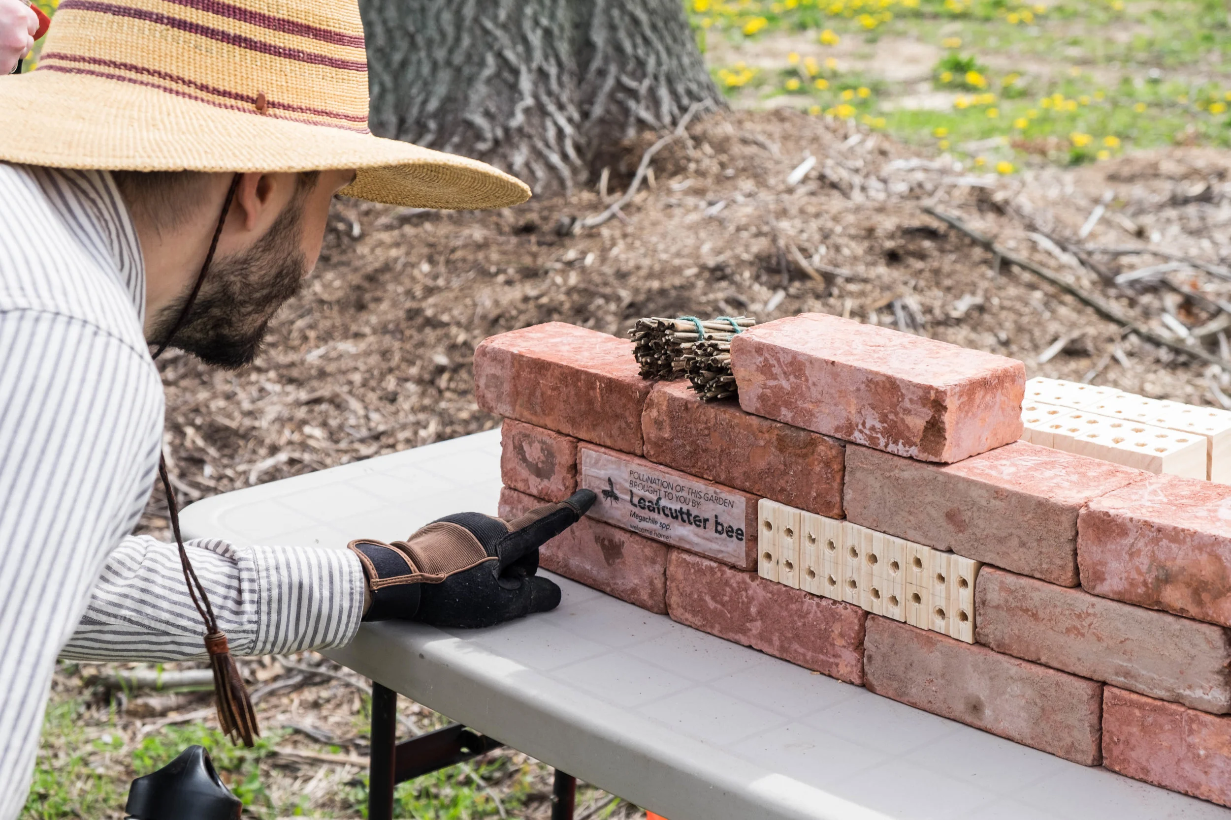 Briana Coleman's final project was to design pollinator habitat in response to a social survey. Bri's habitat structures were communicative, in order to acclimate neighbors and bees in the newly transformed, biodiverse garden site.