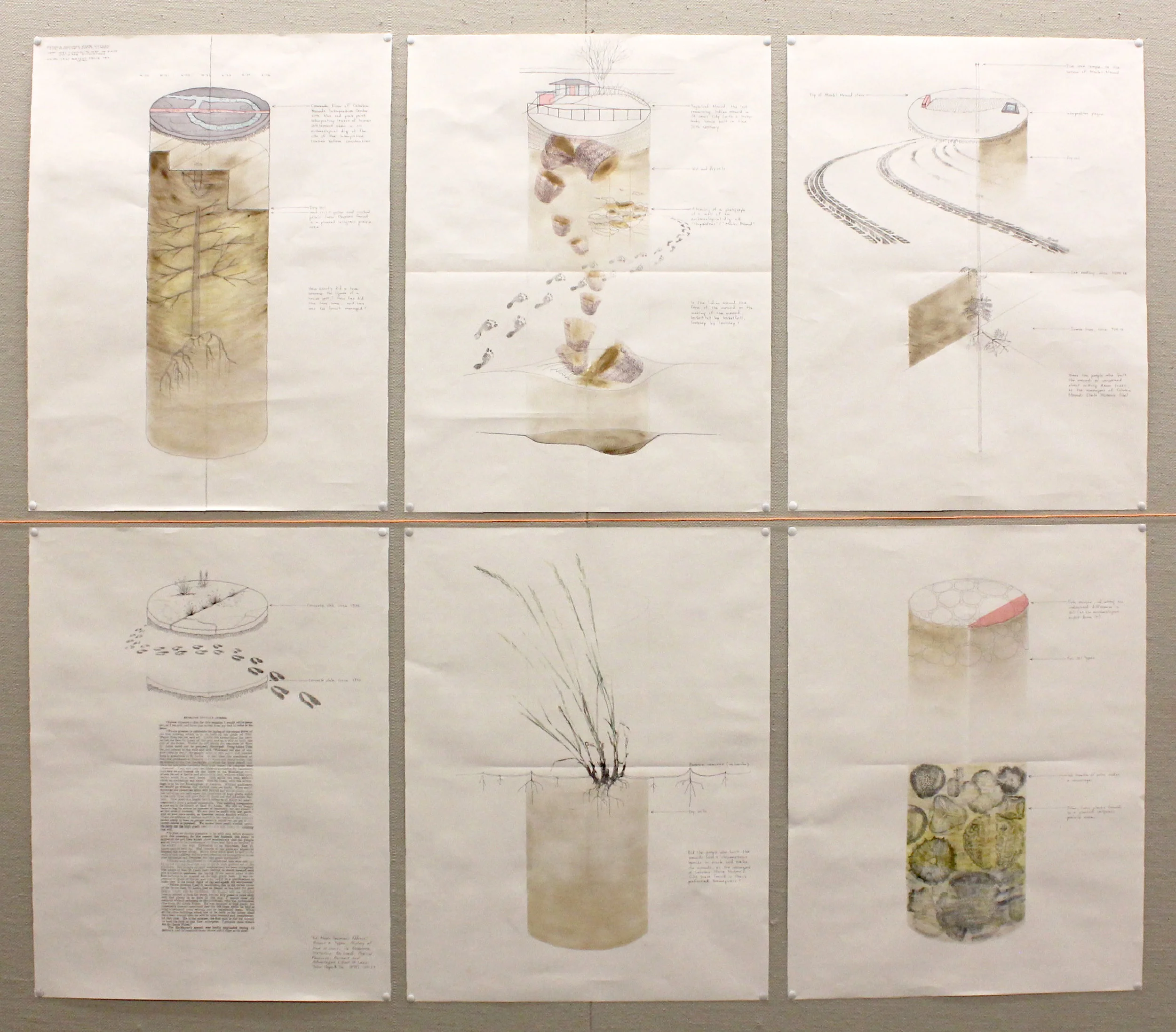 Pen, transfer, soil, and pollen on paper.